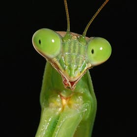 user avatar image for Adelle Crowe