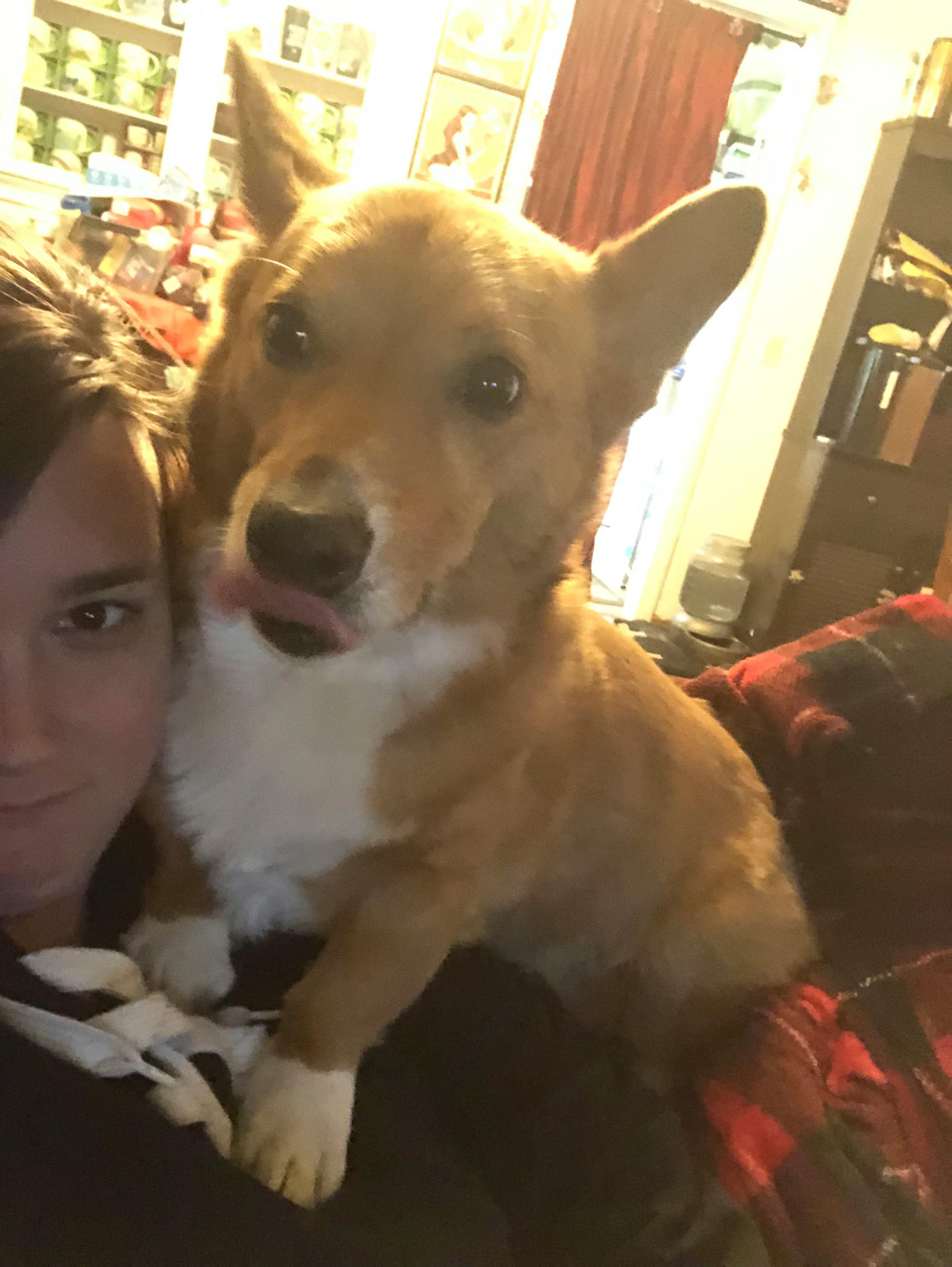 user avatar image for Keirsten