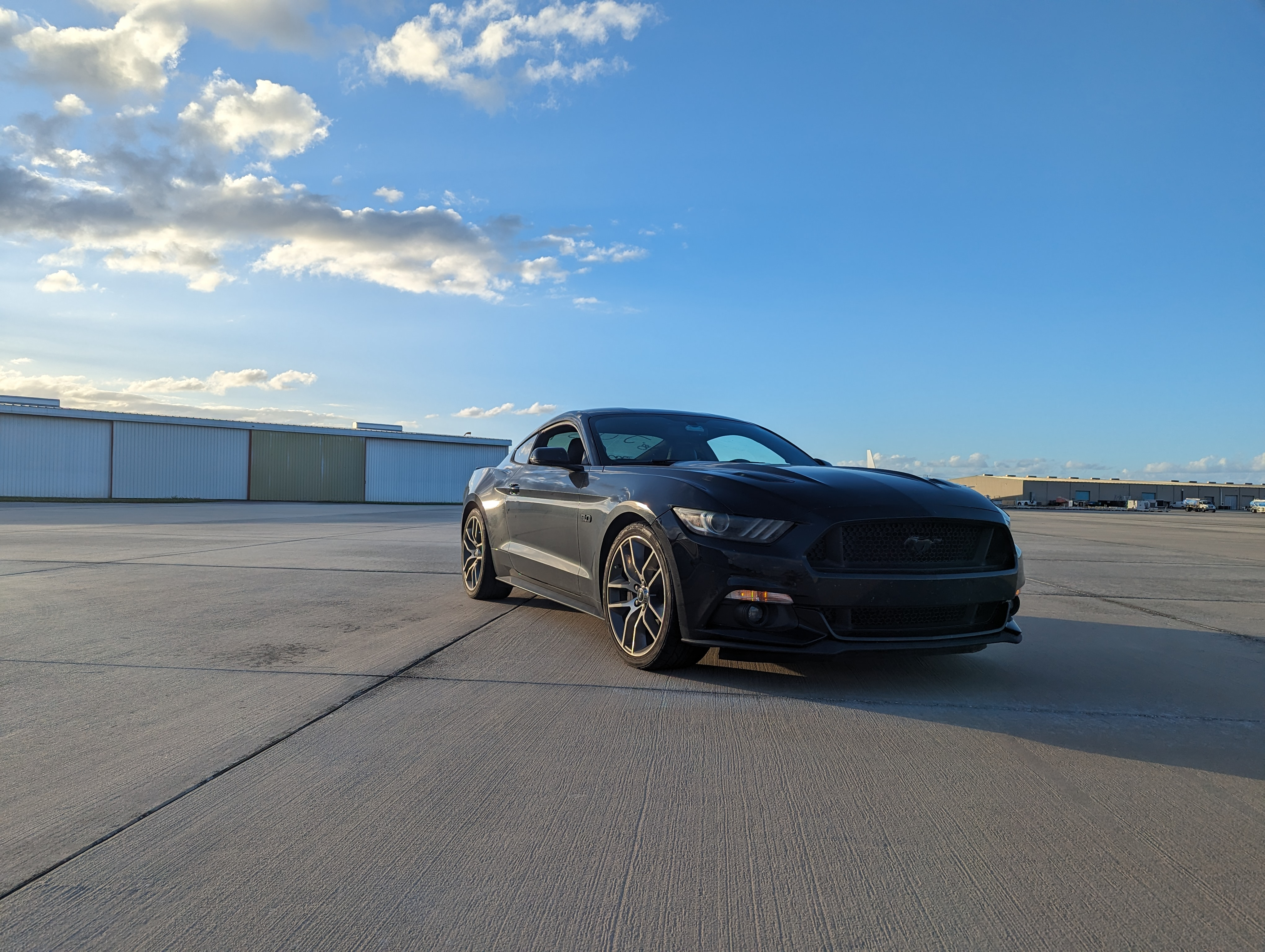 user avatar image for Cameron M.