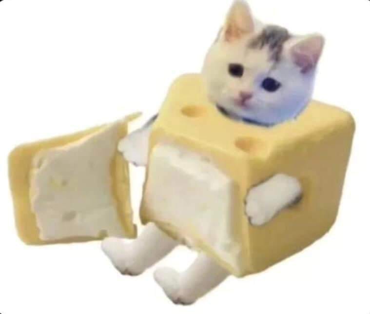 user avatar image for MeowItsSteph