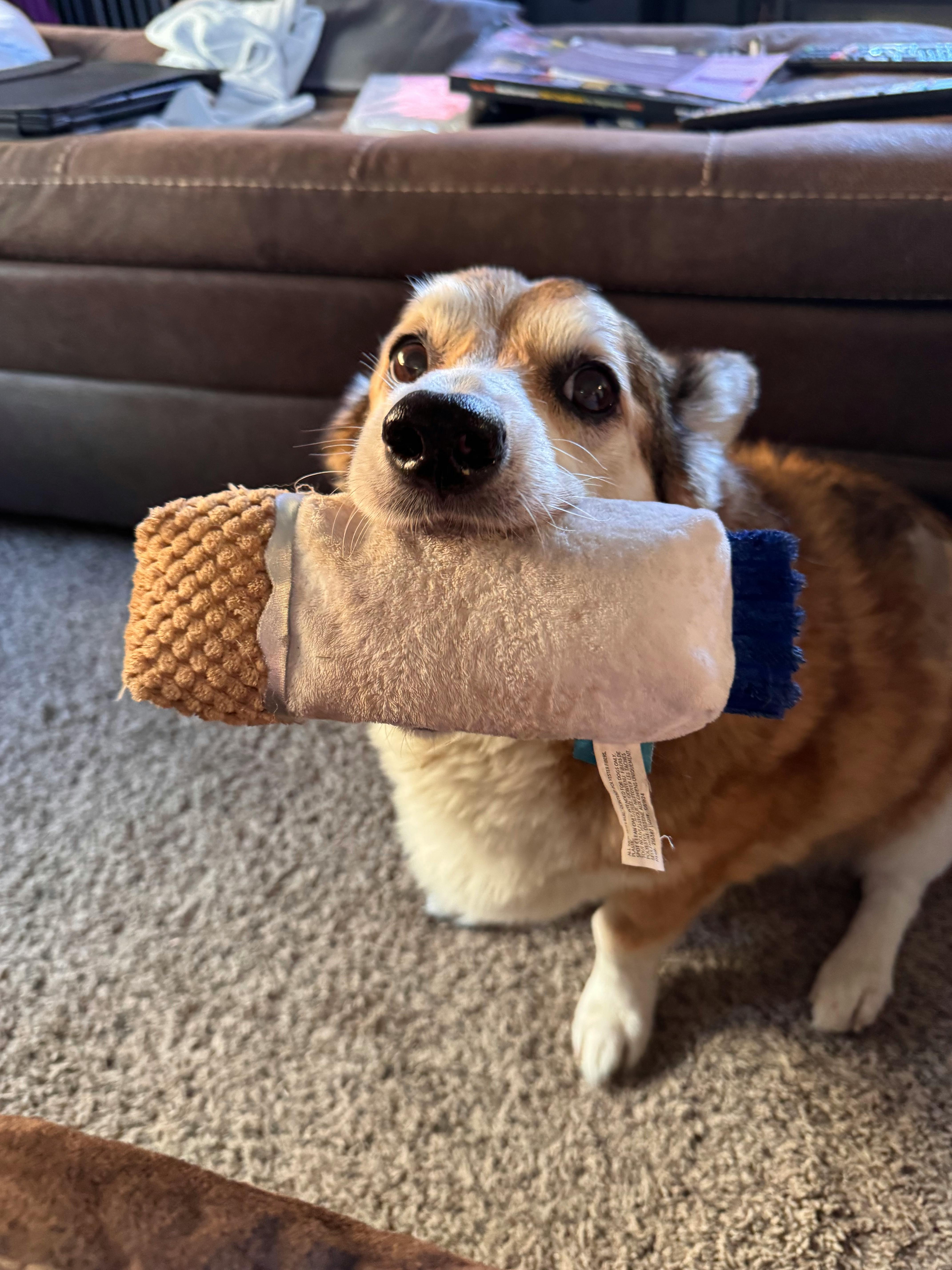 user avatar image for Becky Biggin