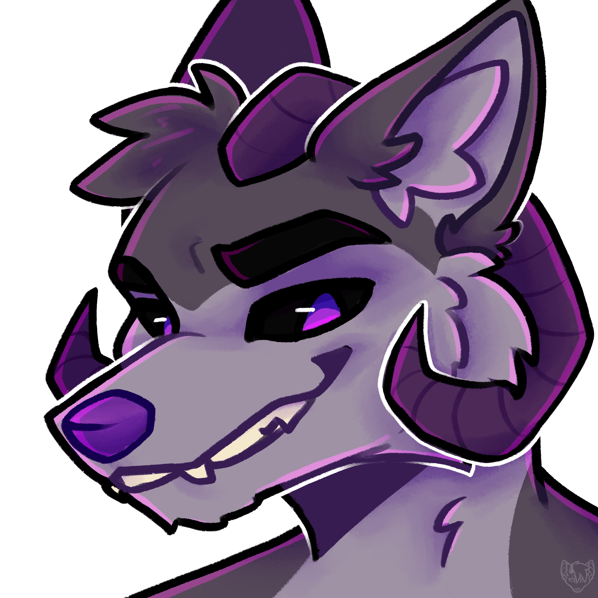 user avatar image for shallowwater