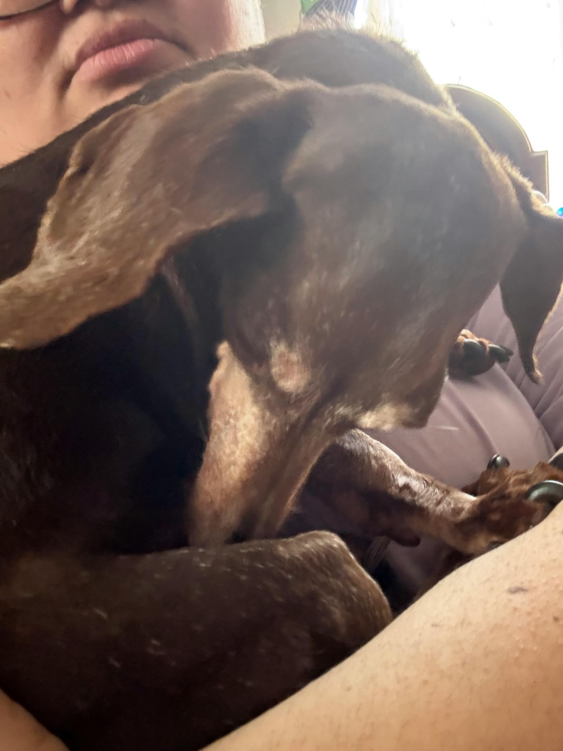 user avatar image for Lauren Bridges