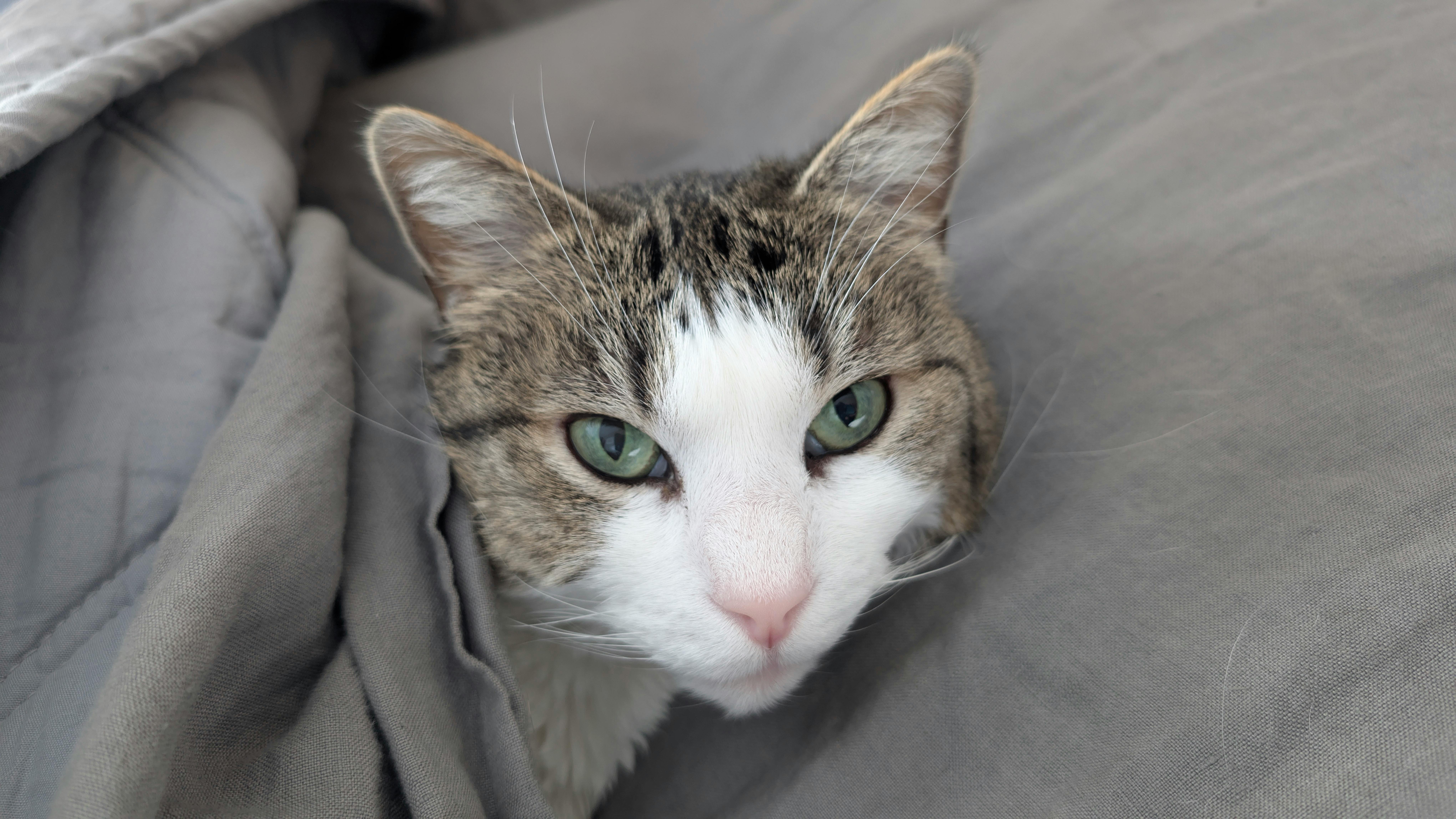 user avatar image for KimberleyM