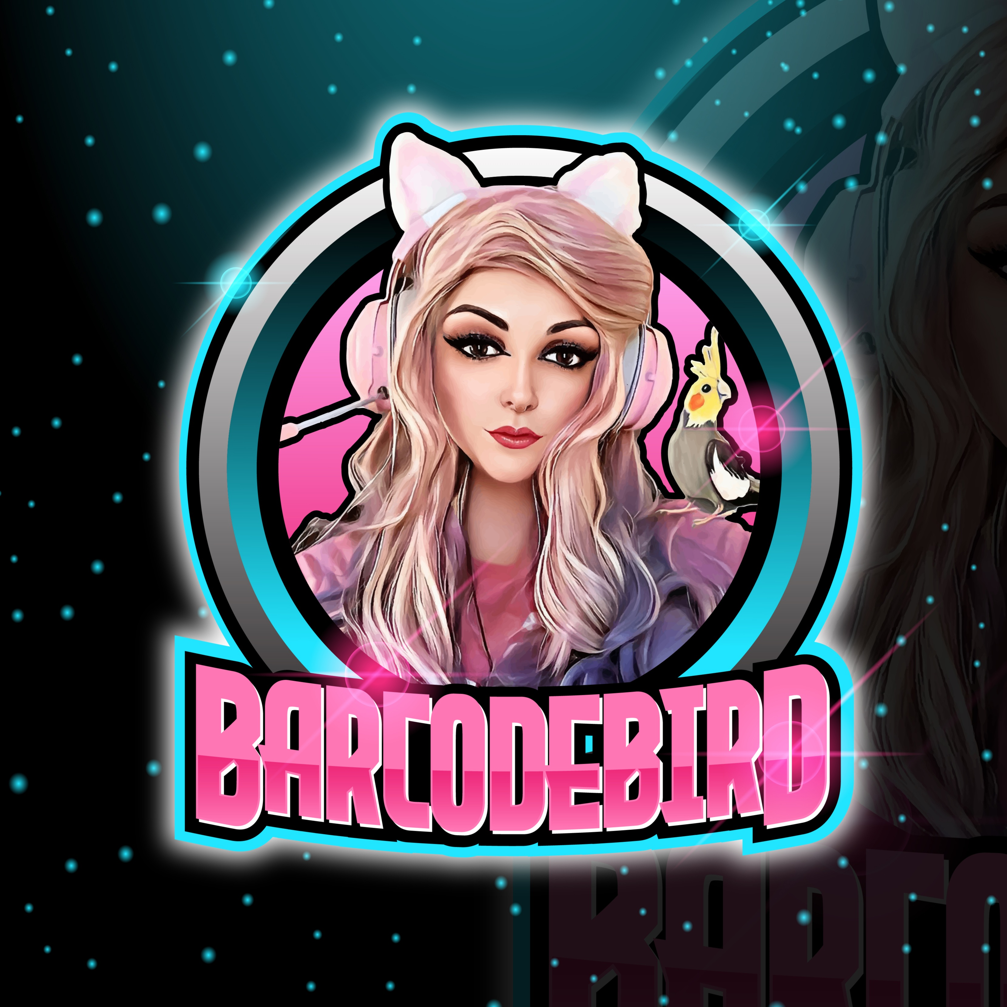 user avatar image for BarcodeBird