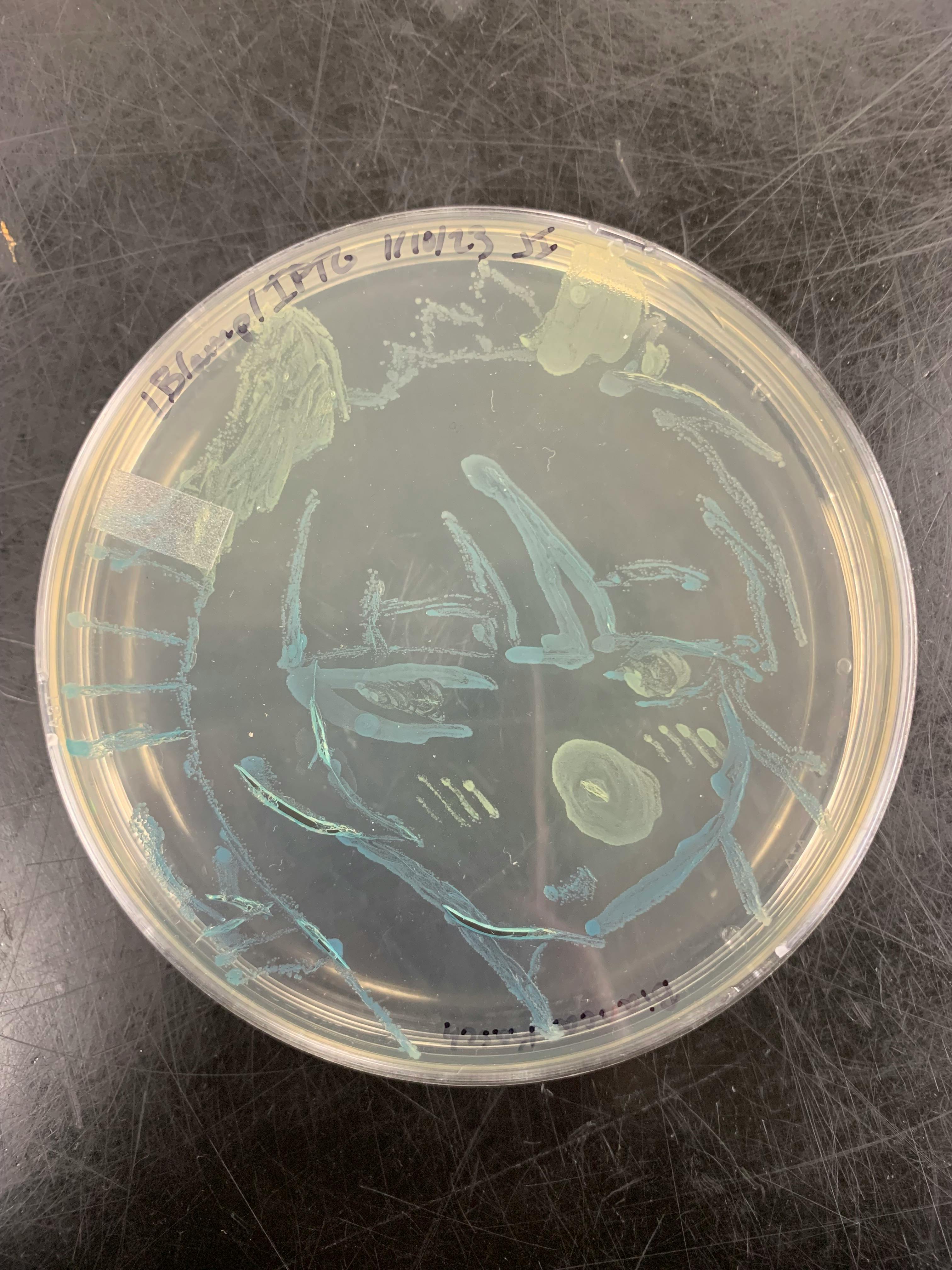 user avatar image for NitroLeafi