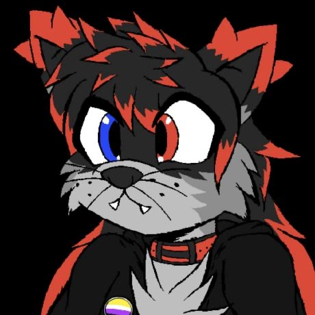 user avatar image for Kip