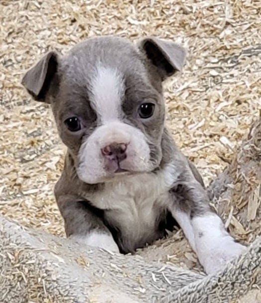 user avatar image for Crunk Posby