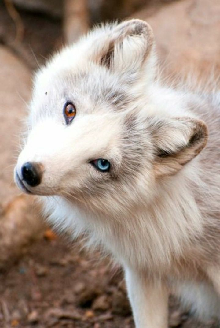 user avatar image for Ryleigh