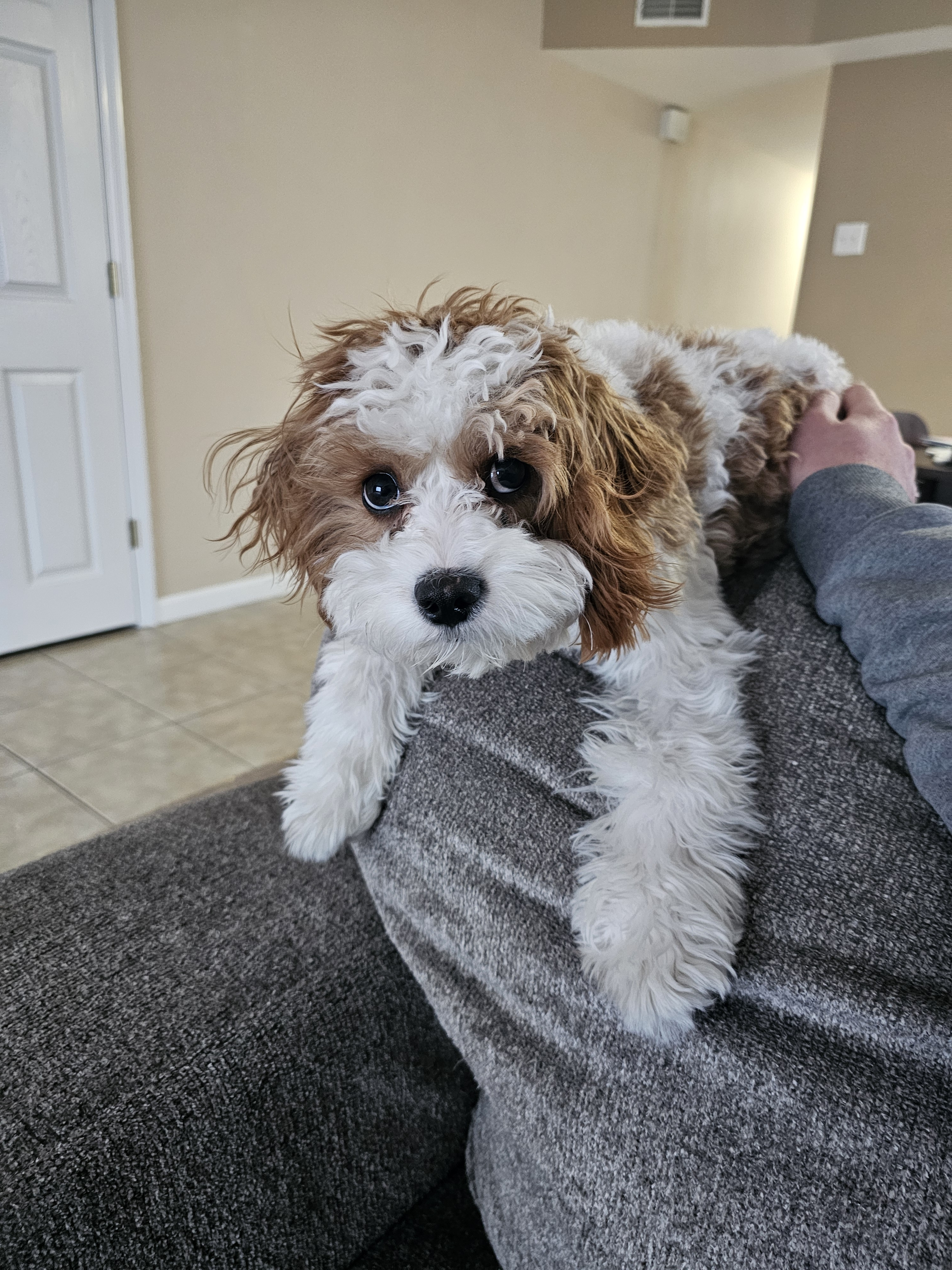 user avatar image for DukeFall