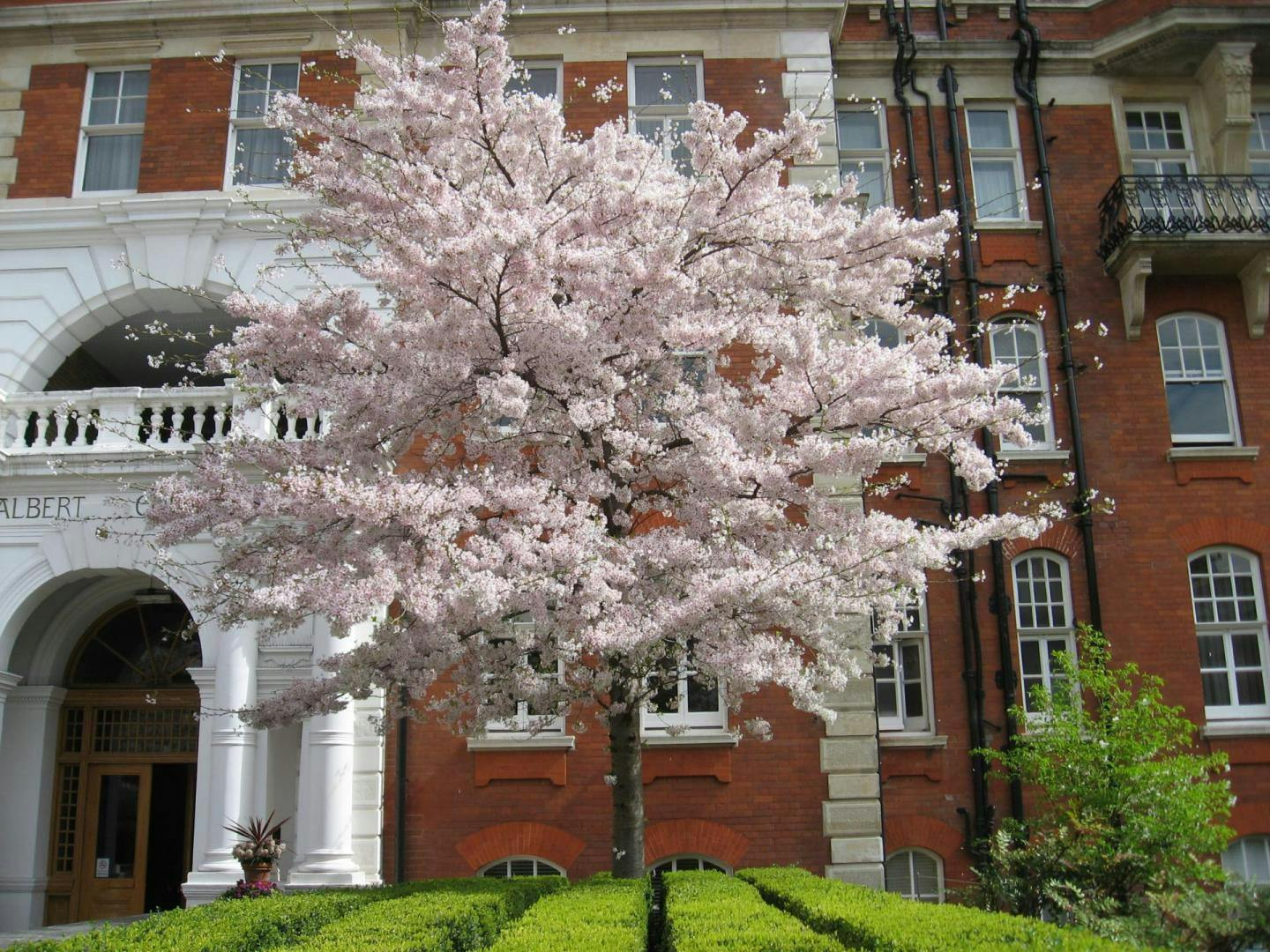 user avatar image for Solveig Felton