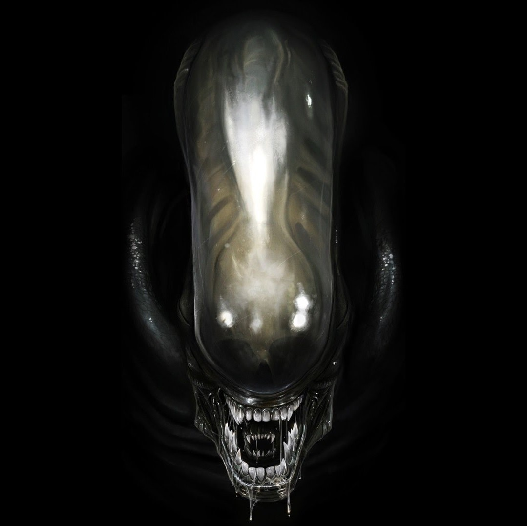 user avatar image for PlauM