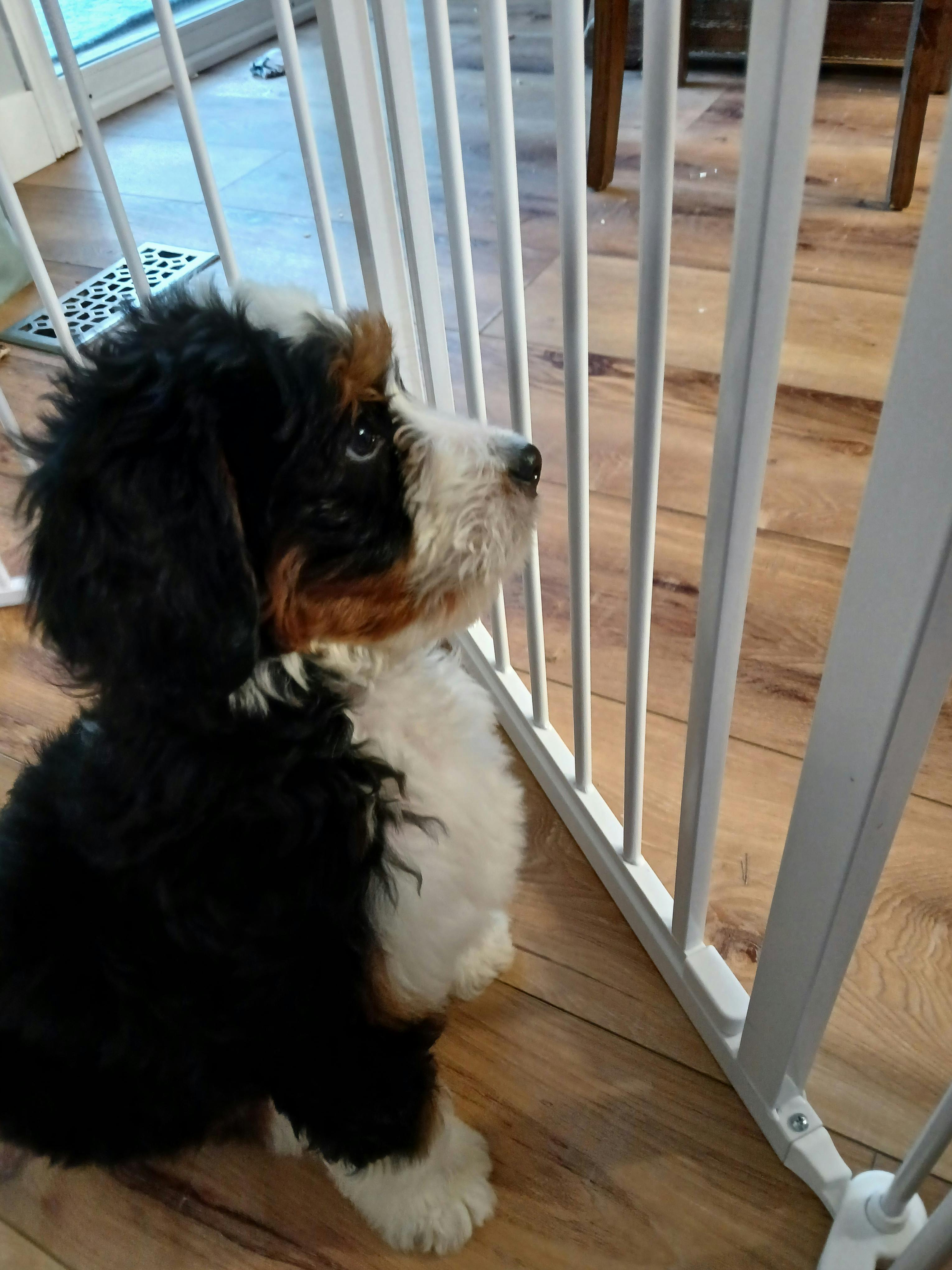 user avatar image for Alora Passino