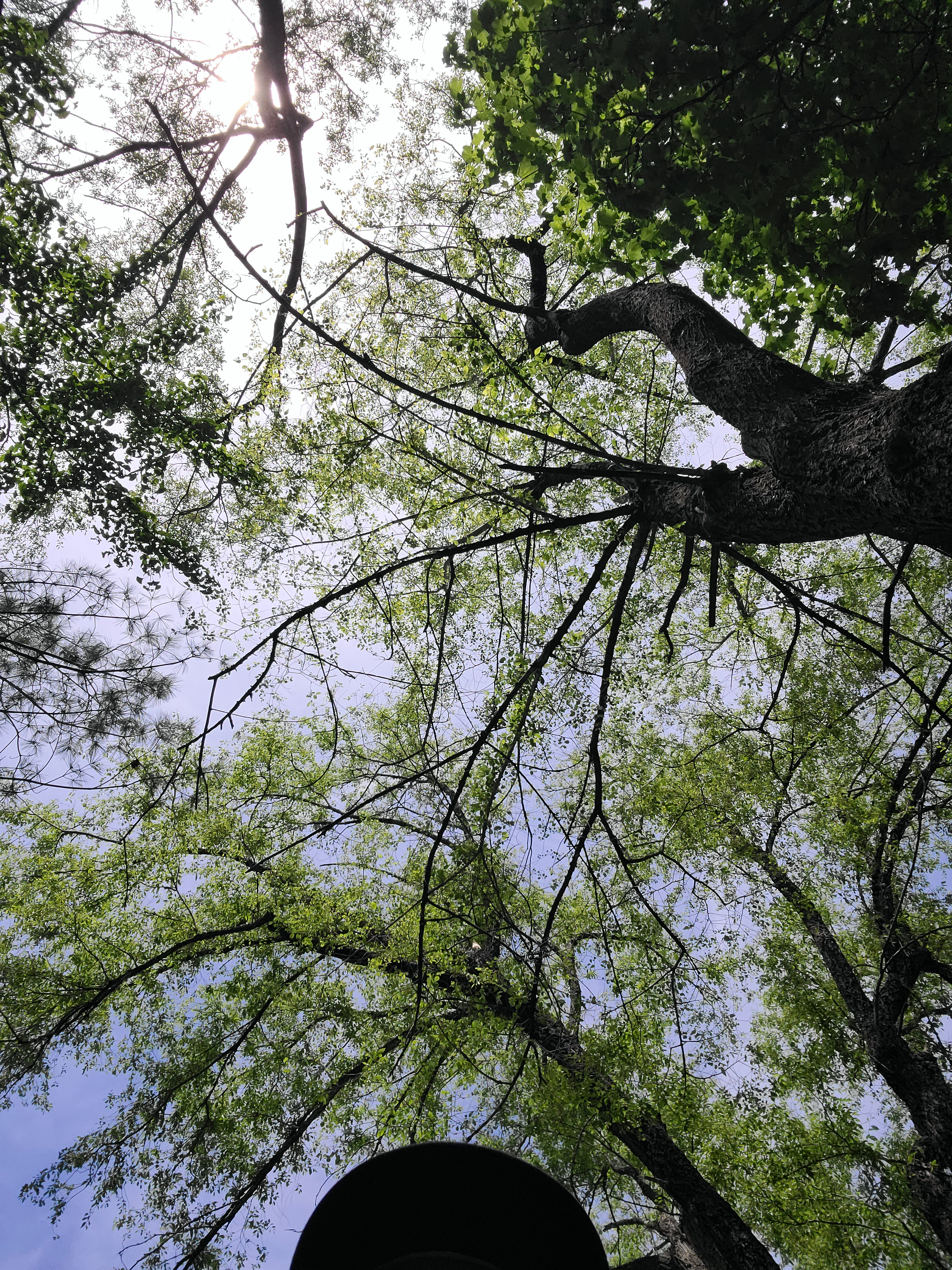 user avatar image for Jeremy Wilcheck