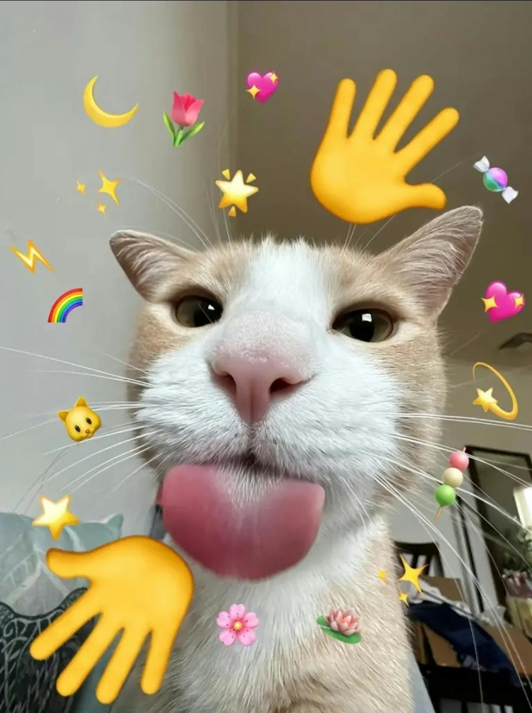 user avatar image for Lolo