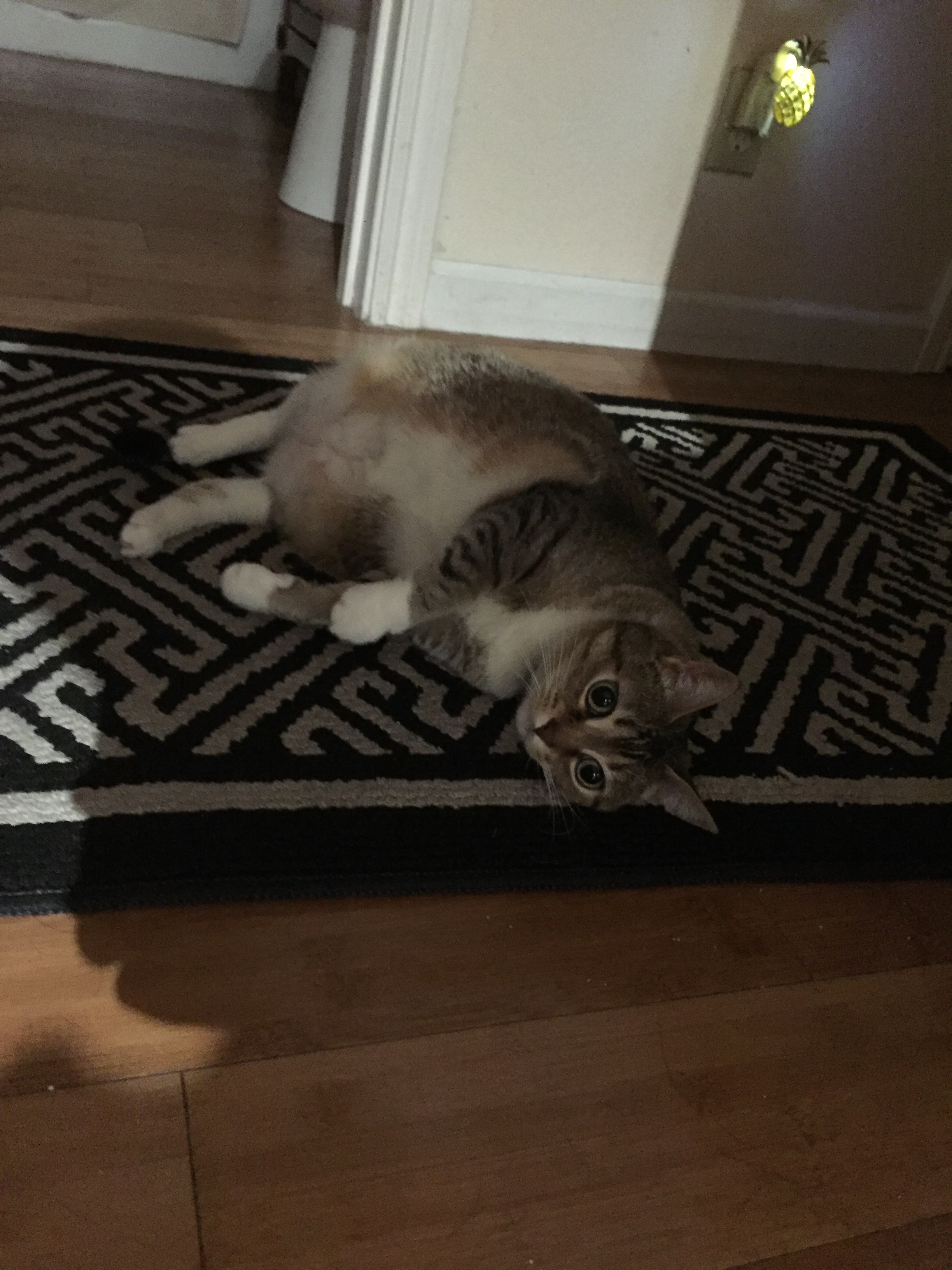 user avatar image for Jotakah