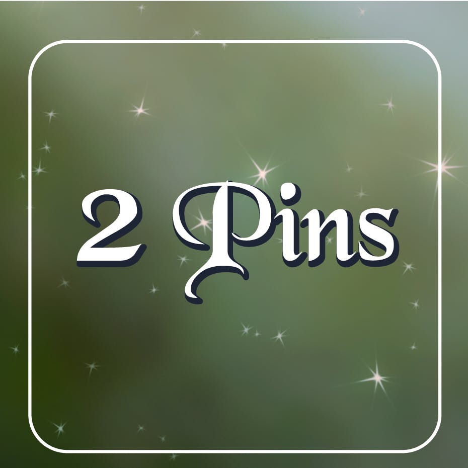 (2) Stretch Goal pins