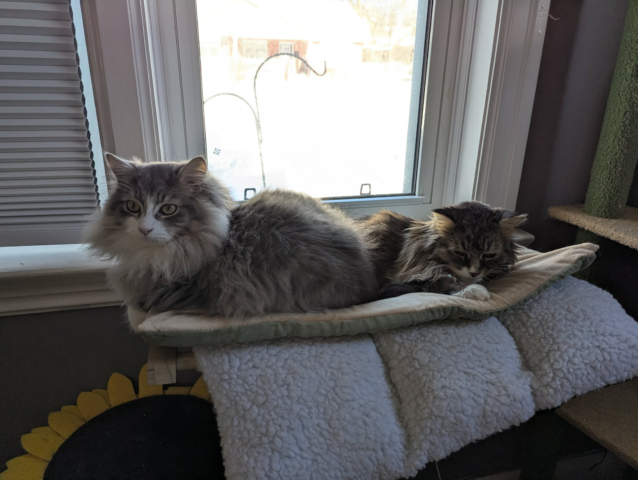 user avatar image for David St.Andrews