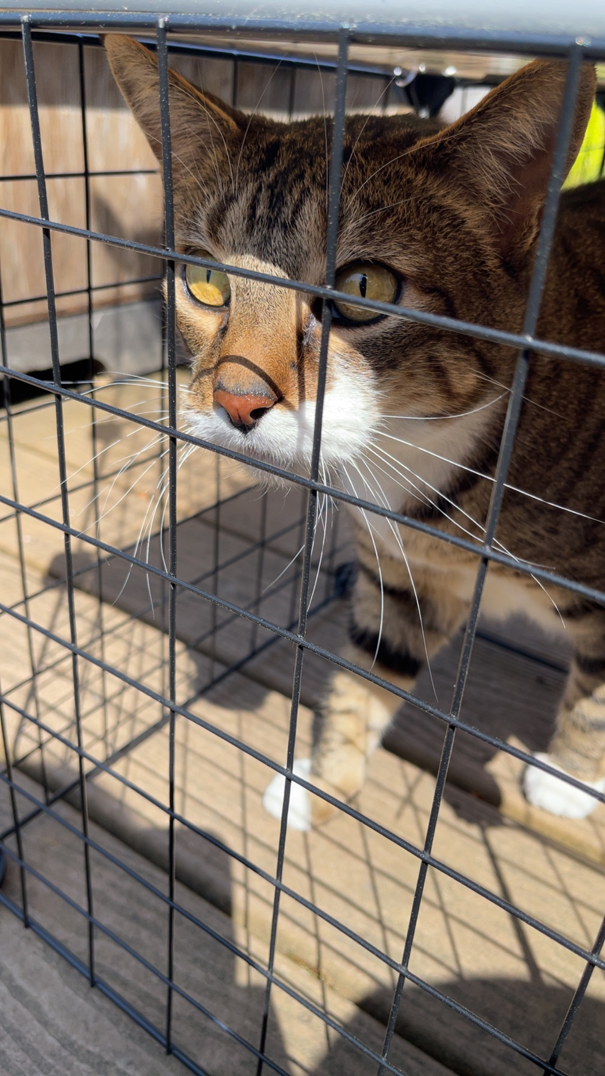 user avatar image for California 