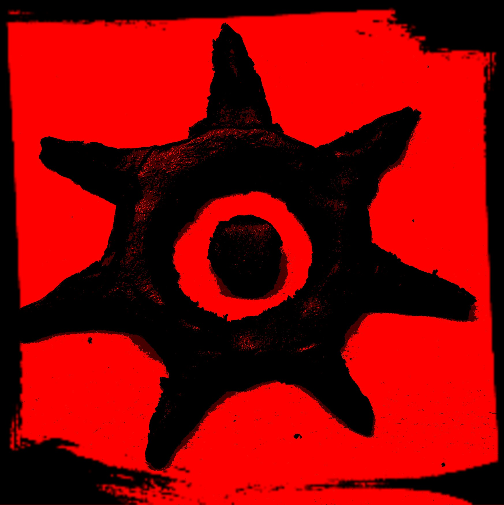 user avatar image for Xeledon