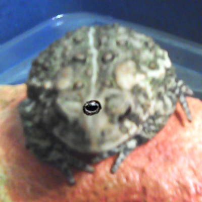 user avatar image for lotzerm