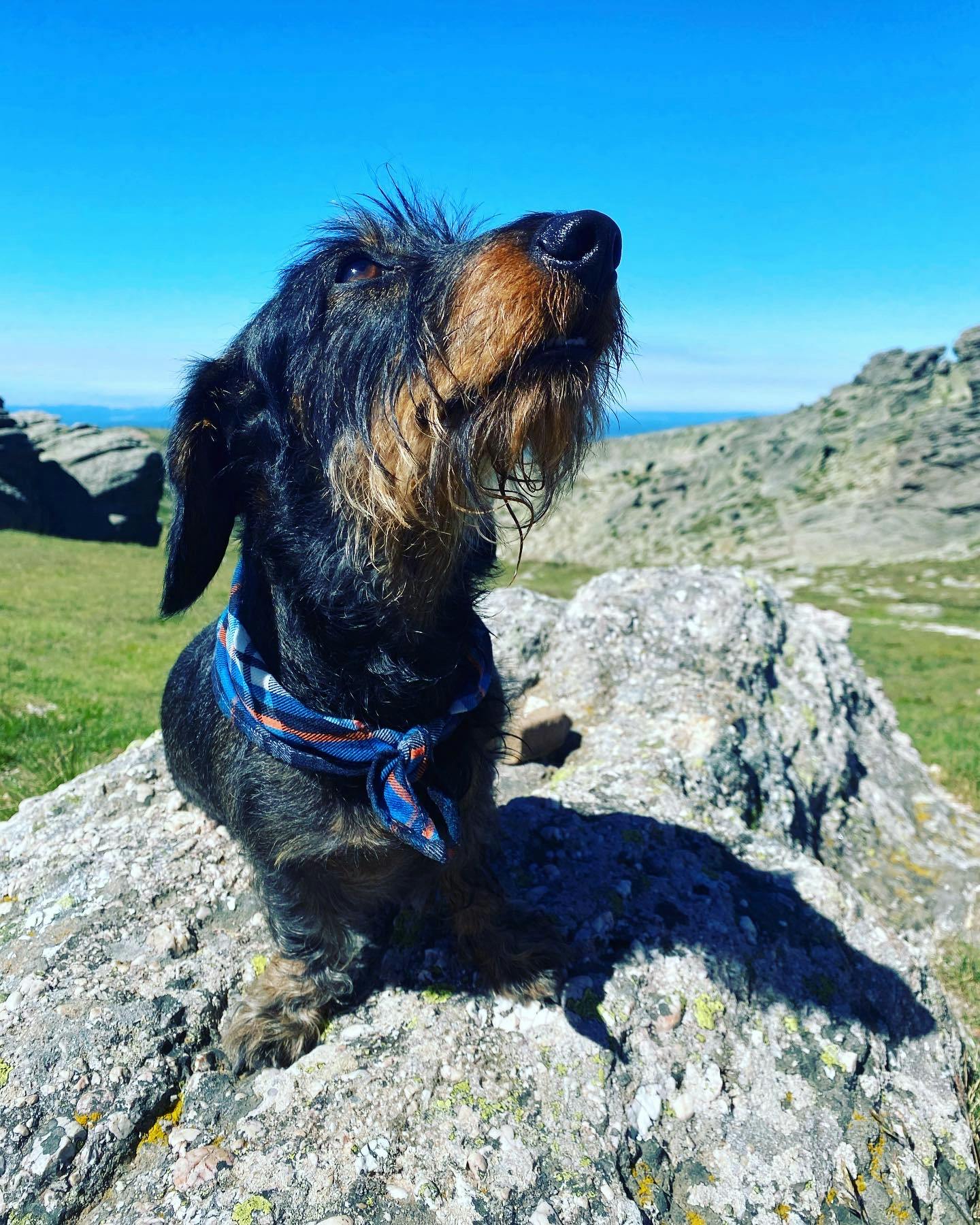 user avatar image for Fernando Latorre