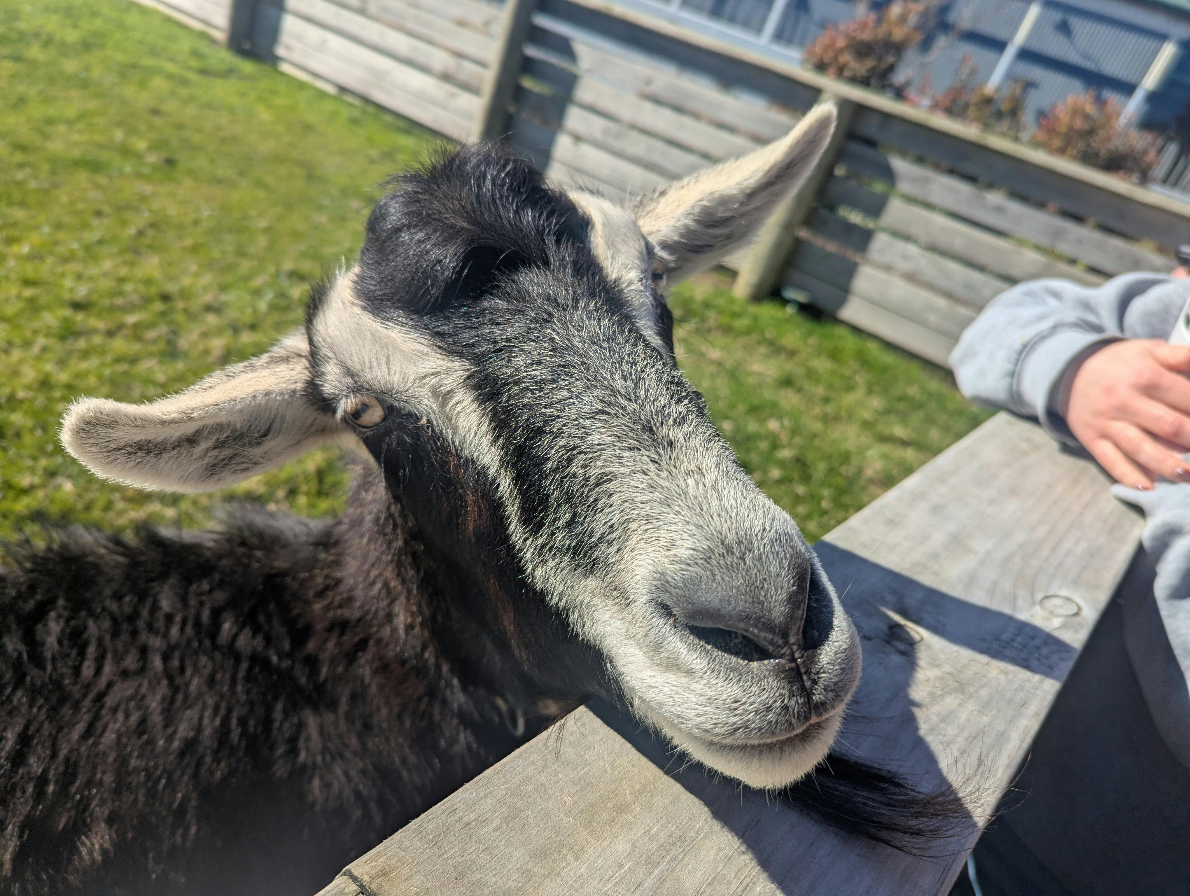 user avatar image for Misha