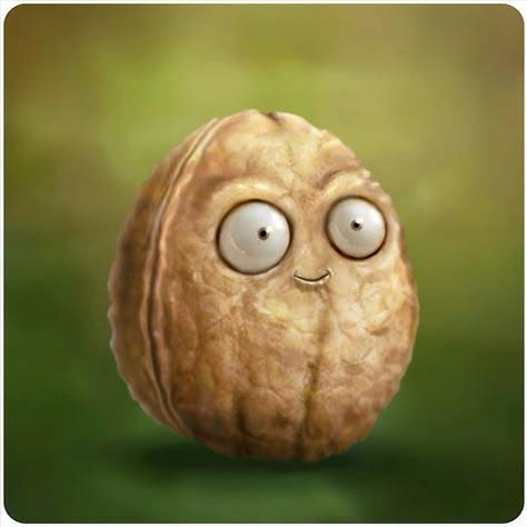user avatar image for Dolev Inbar