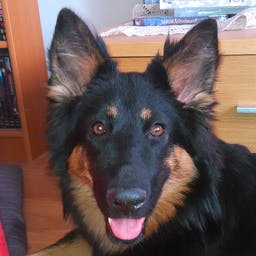 user avatar image for Jesse Simonsson