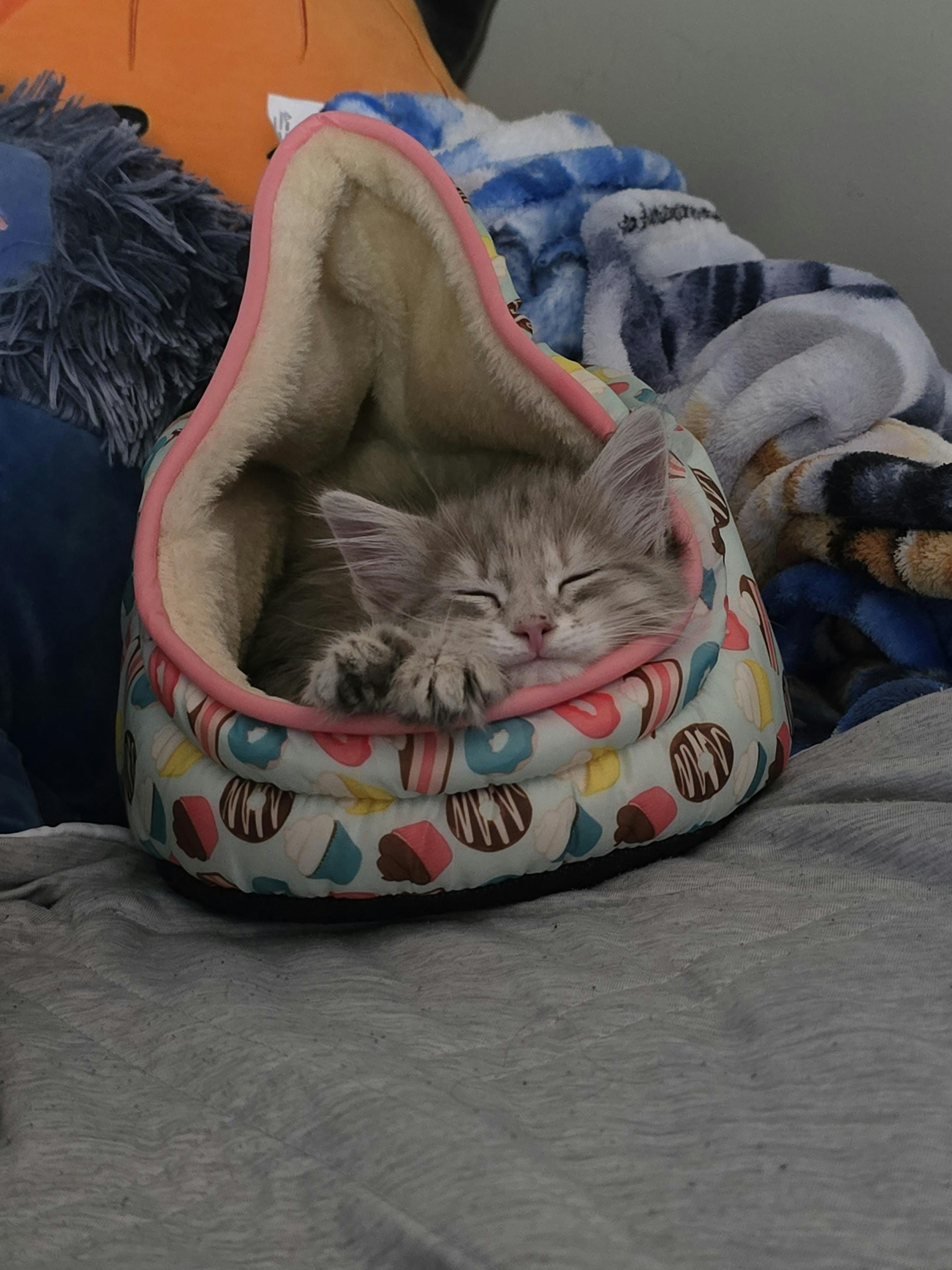 user avatar image for Breeeezyblu