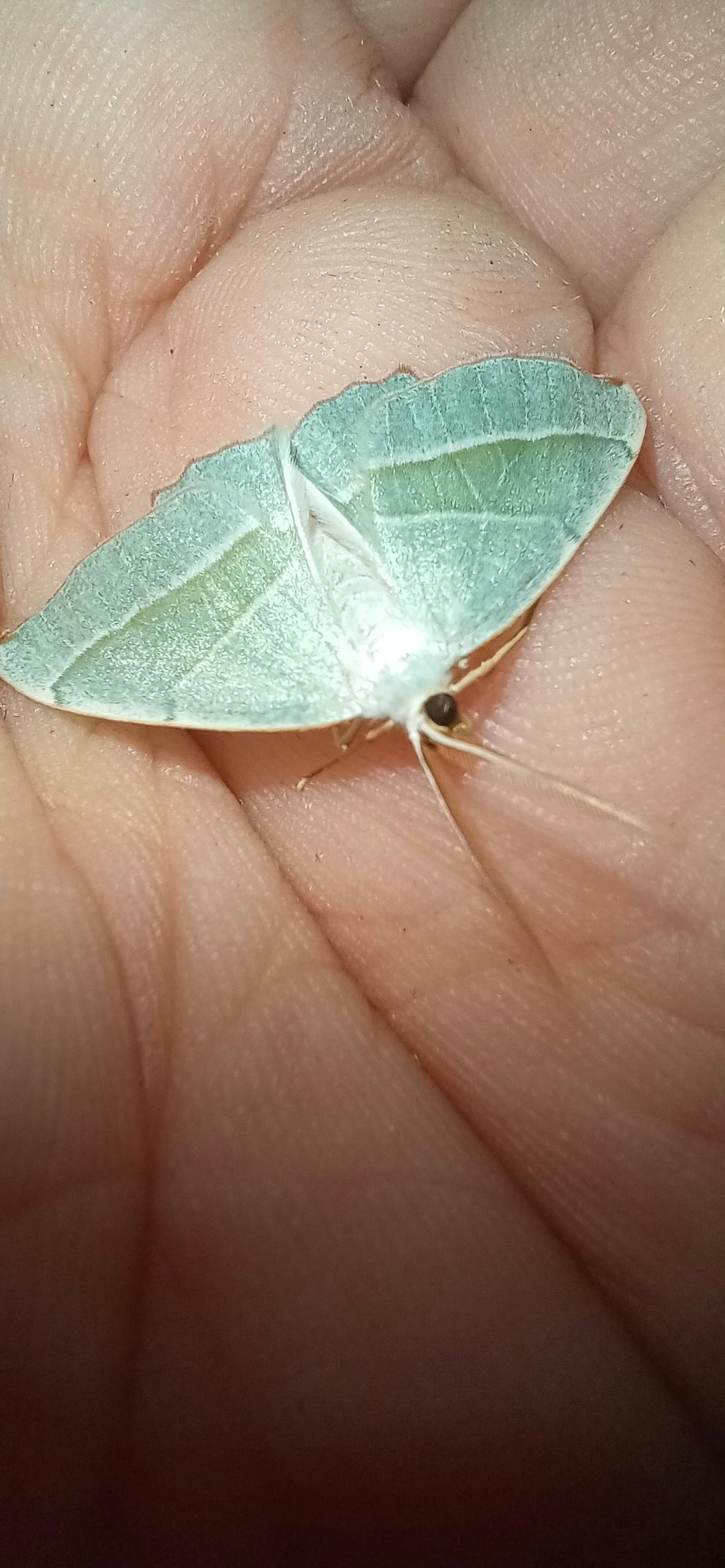 user avatar image for Claire Rosser