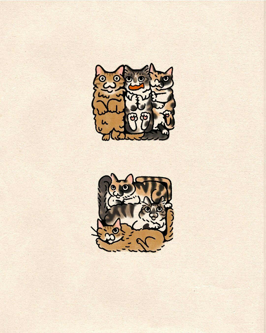 user avatar image for Sharon