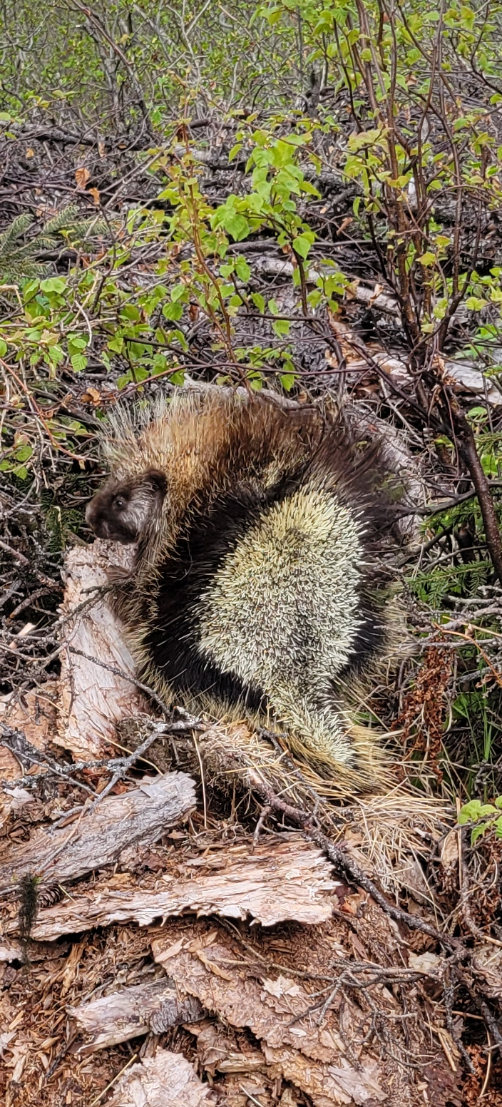 user avatar image for Mikey B