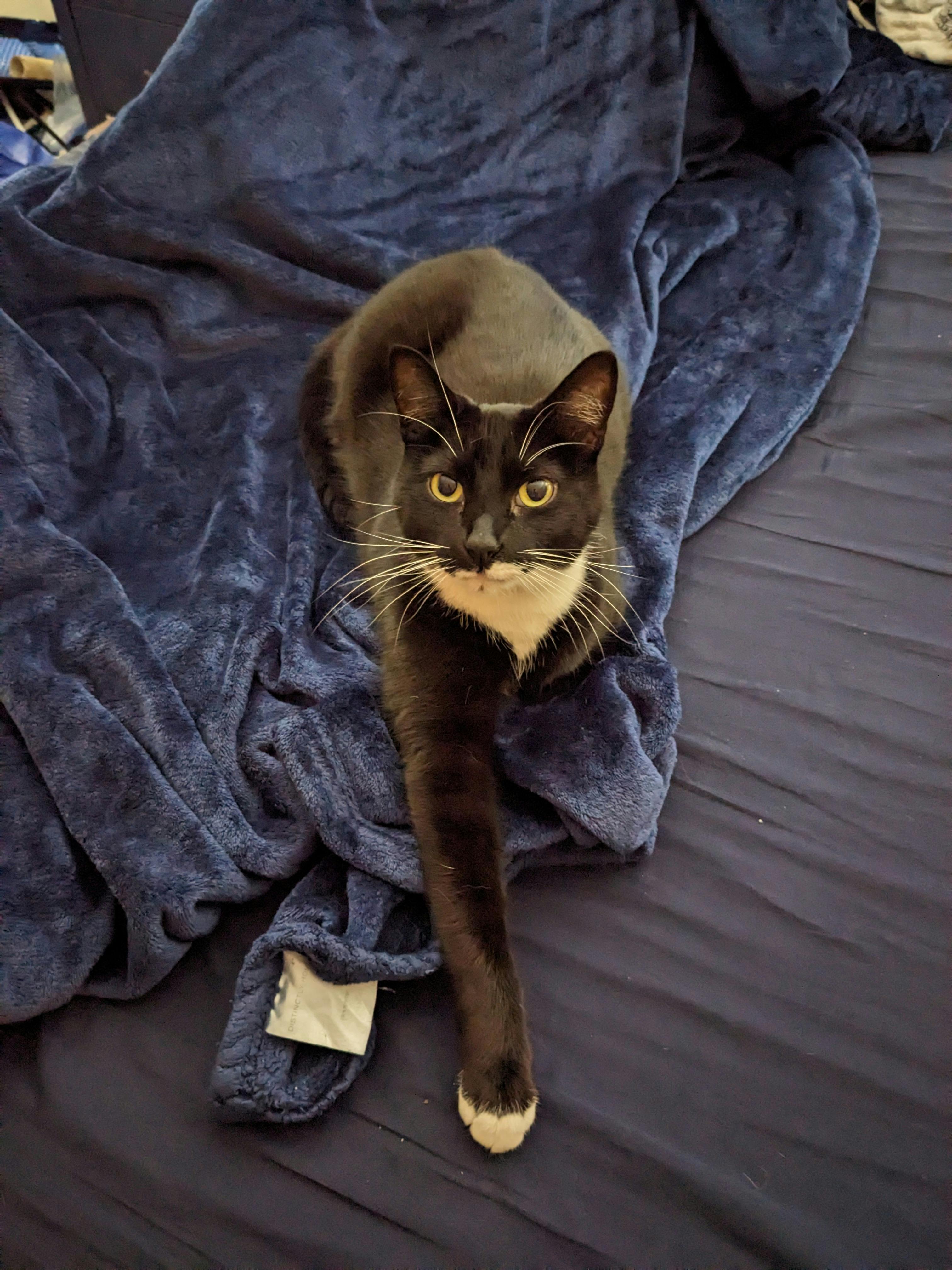 user avatar image for Aeknr