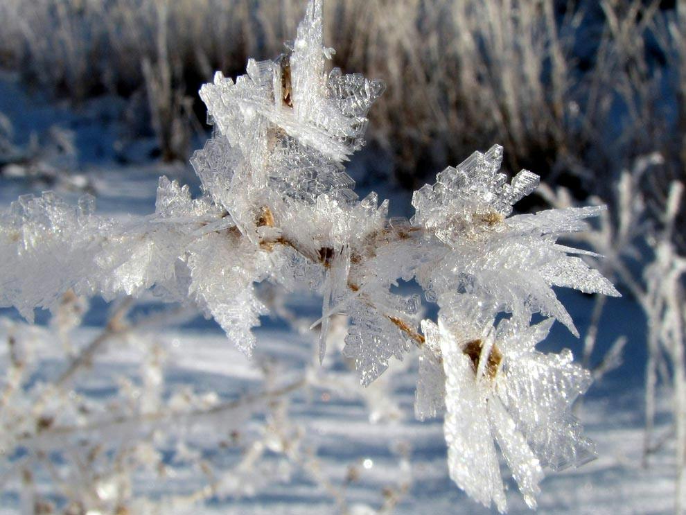 user avatar image for Ice Spren