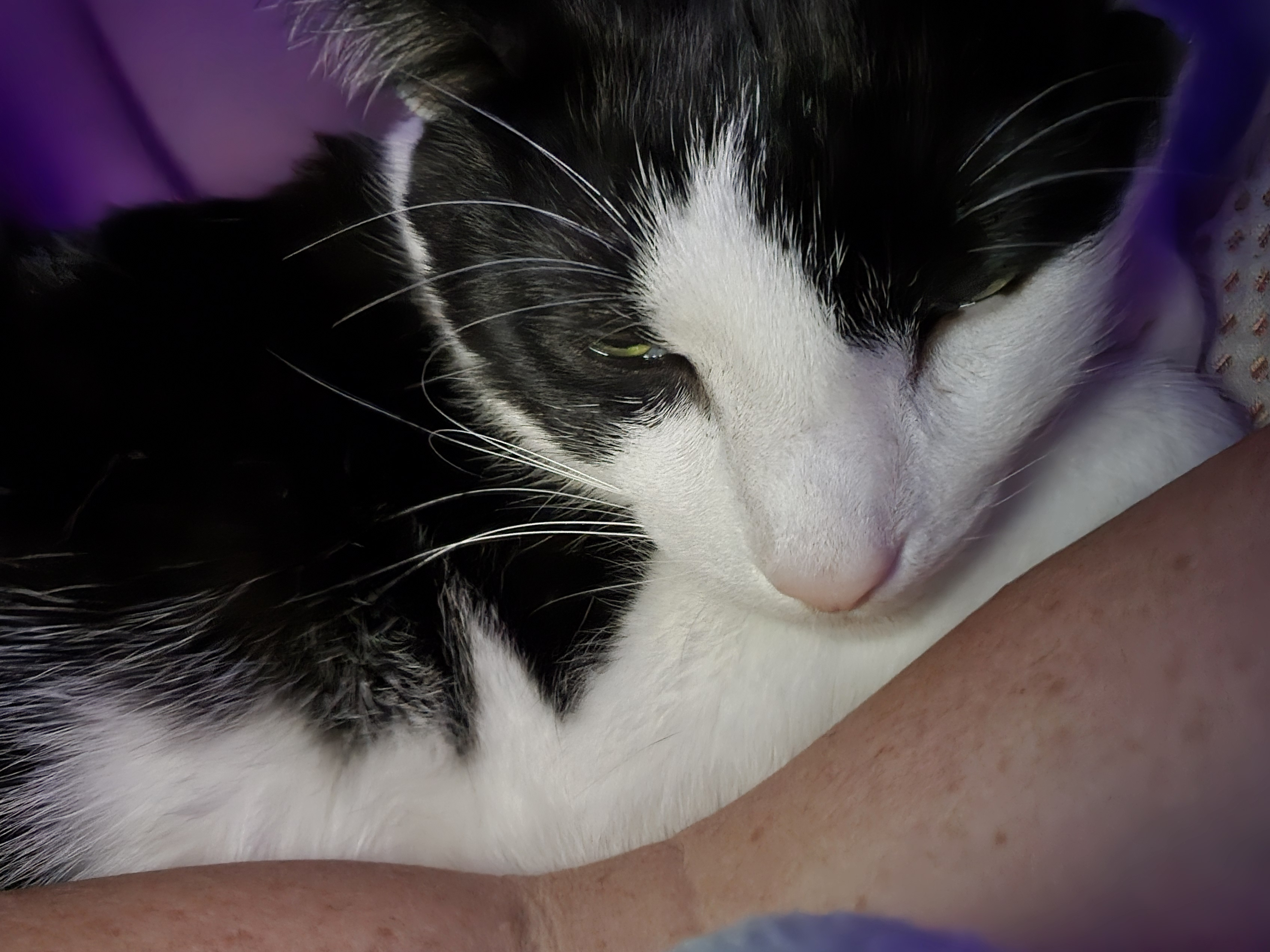 user avatar image for Drgnchklady