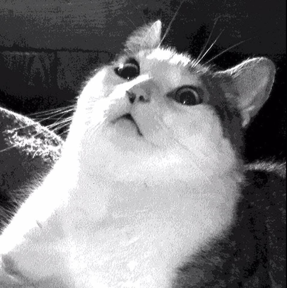 user avatar image for Fred Paepke