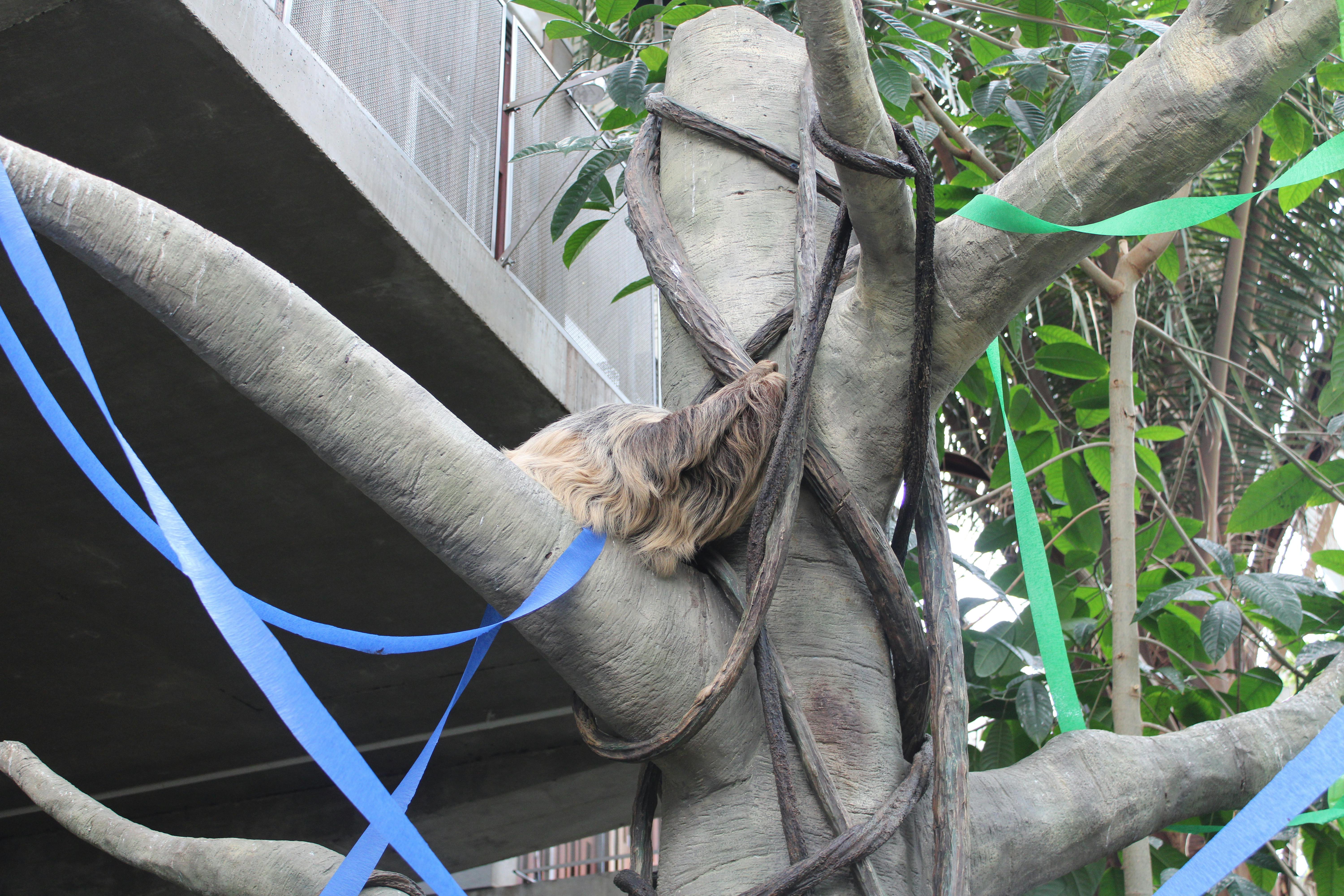 user avatar image for Thomas M. Lockman