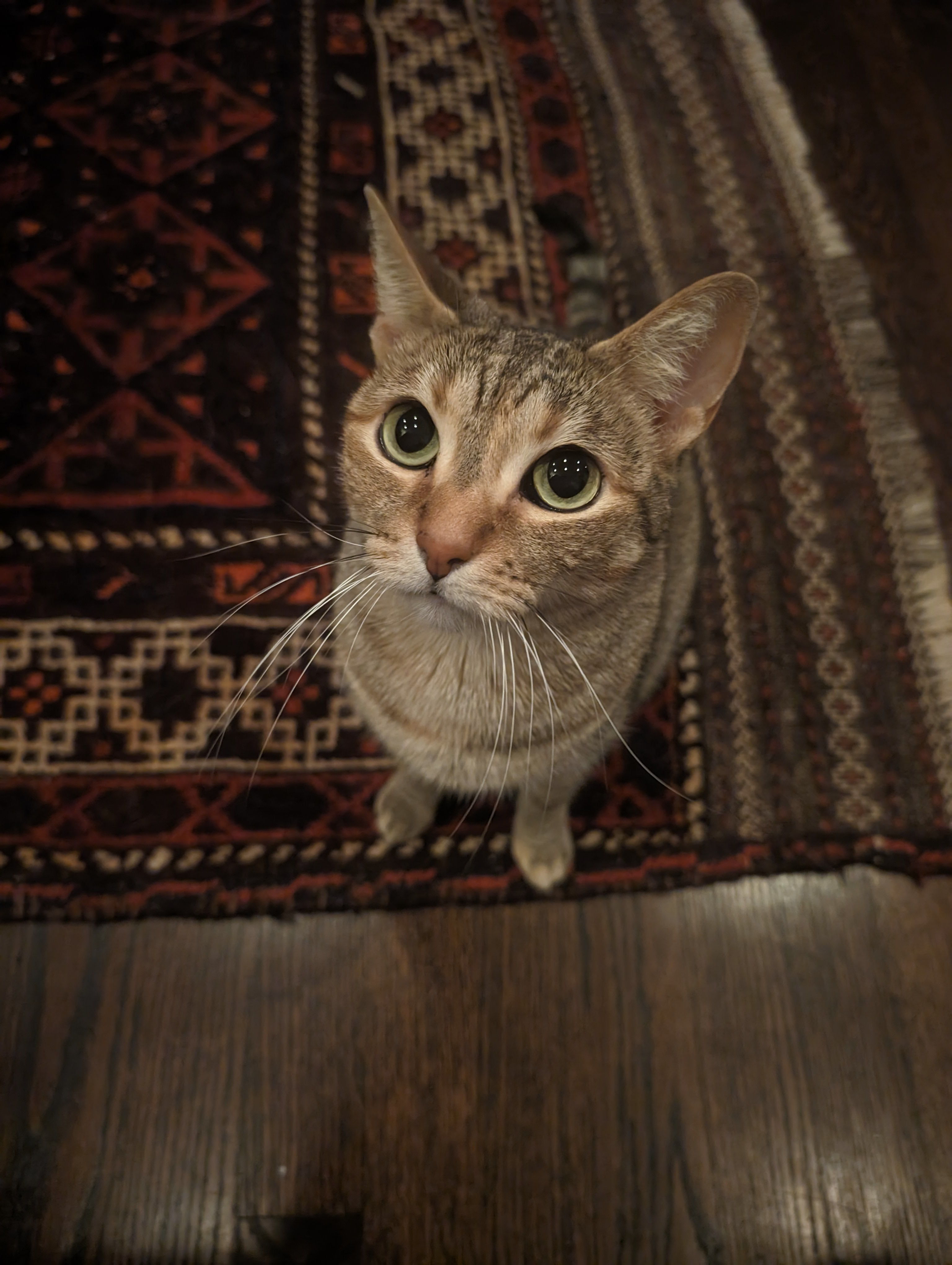 user avatar image for RynMcq