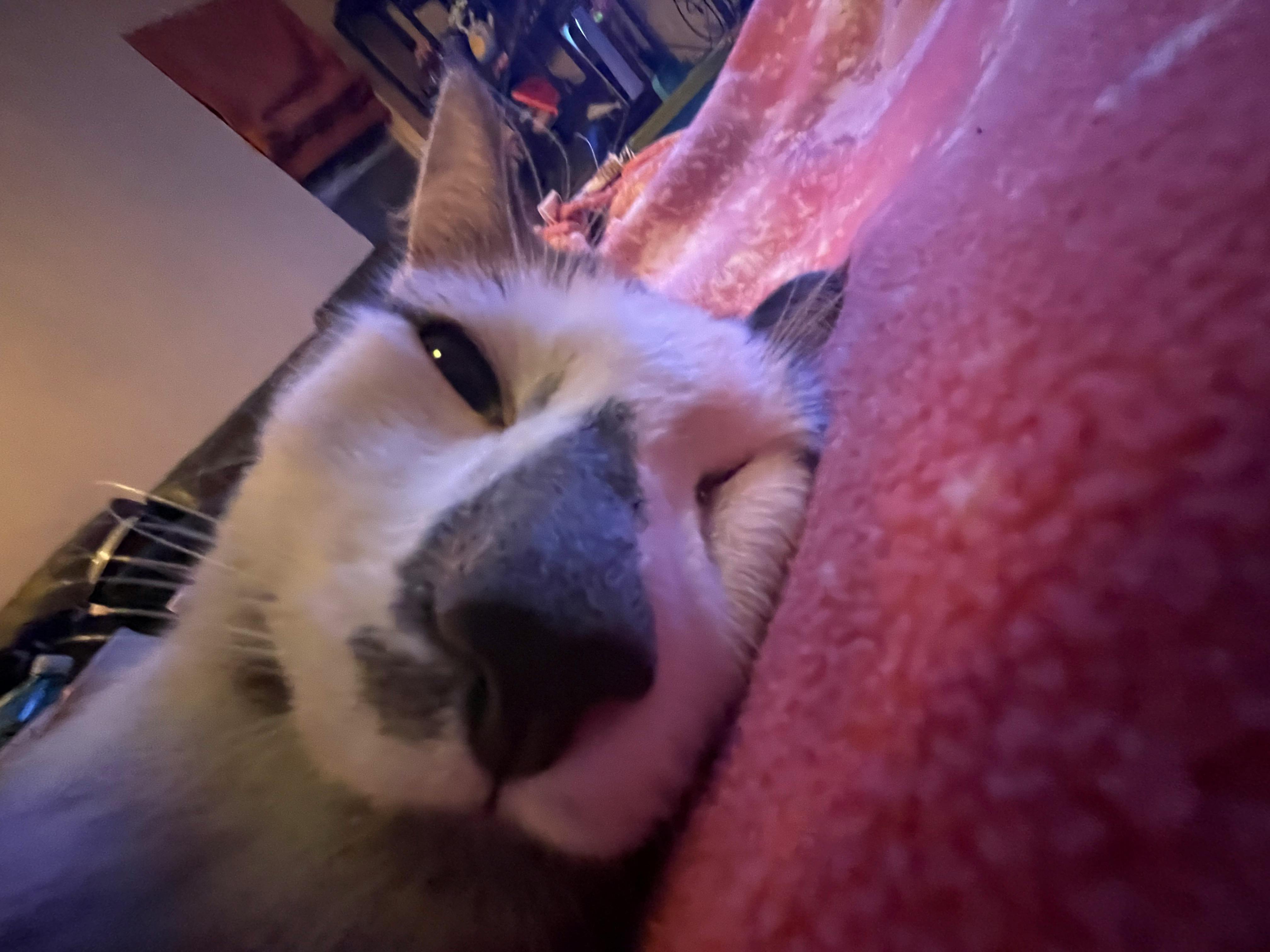 user avatar image for sour_sweets