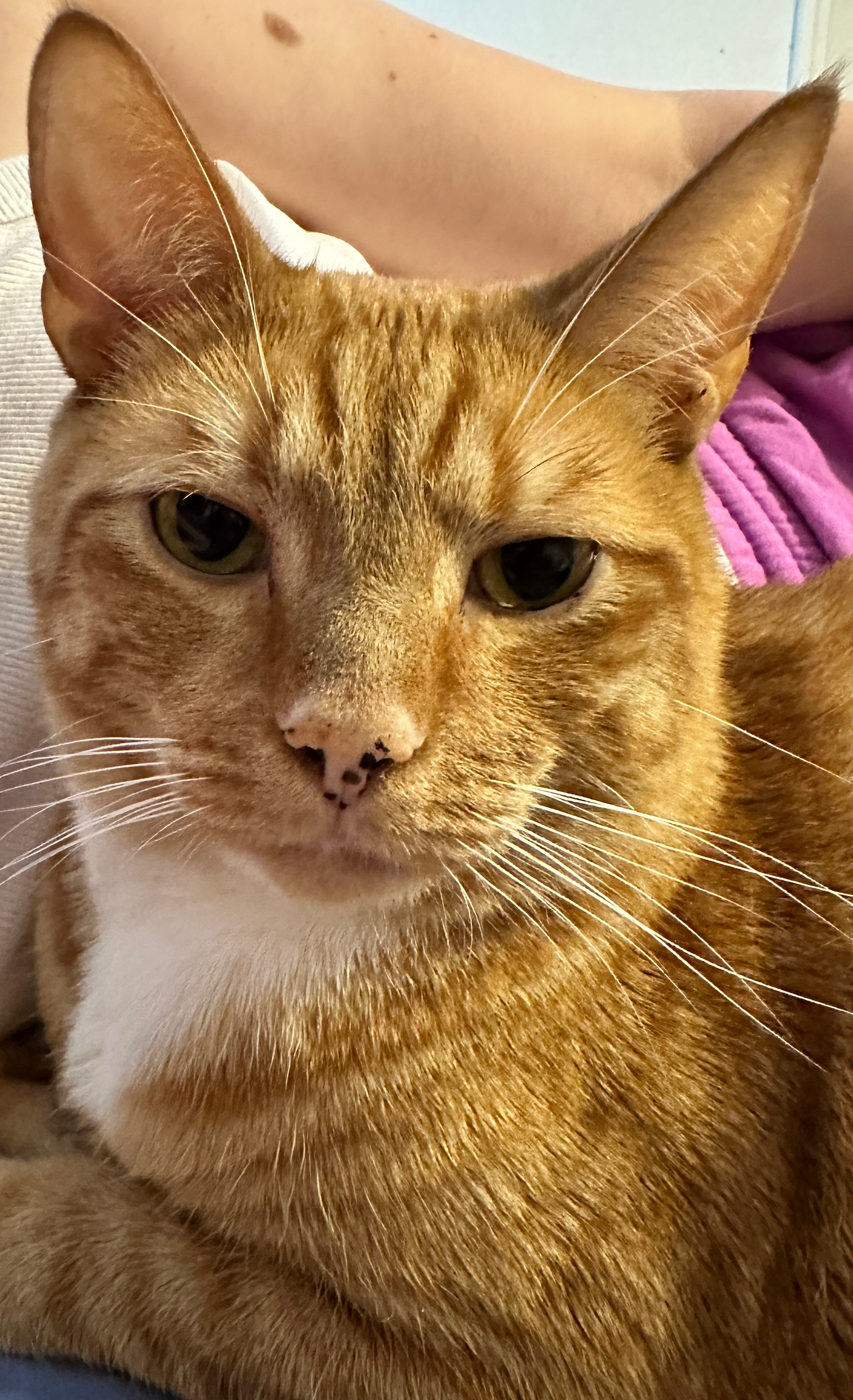 user avatar image for SilkHandedHandy 