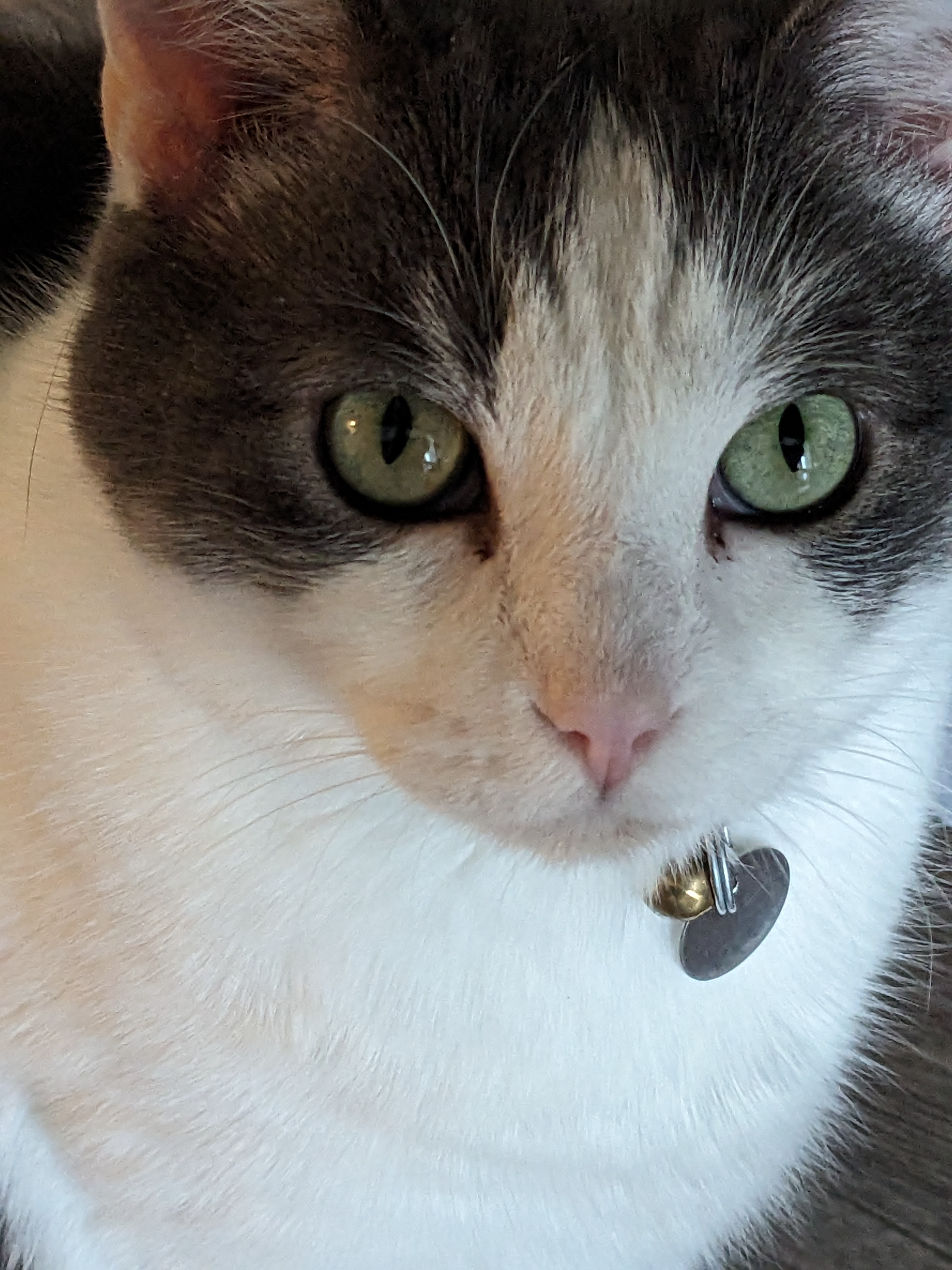 user avatar image for Christophe Bissonnette