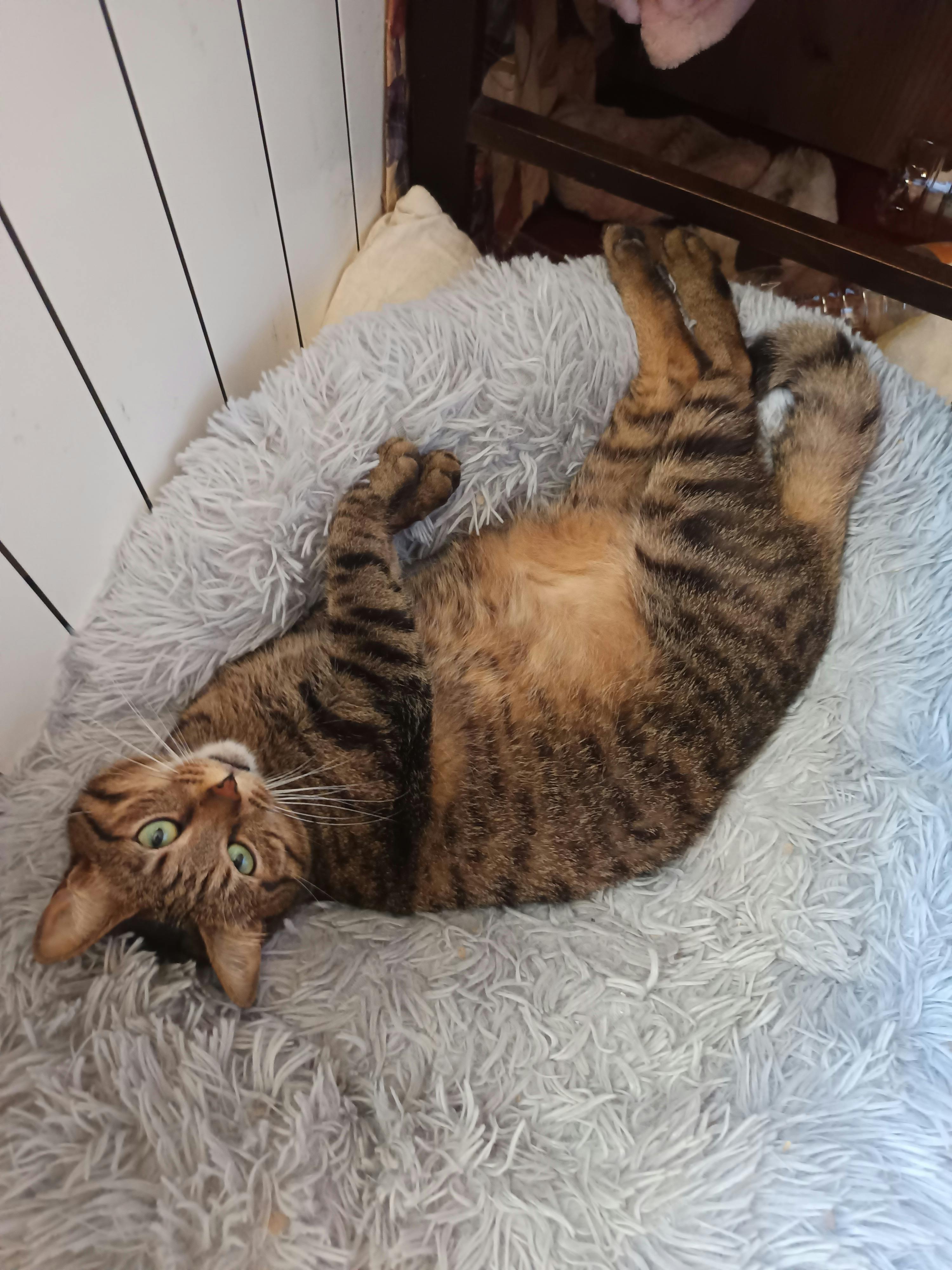 user avatar image for Monika 