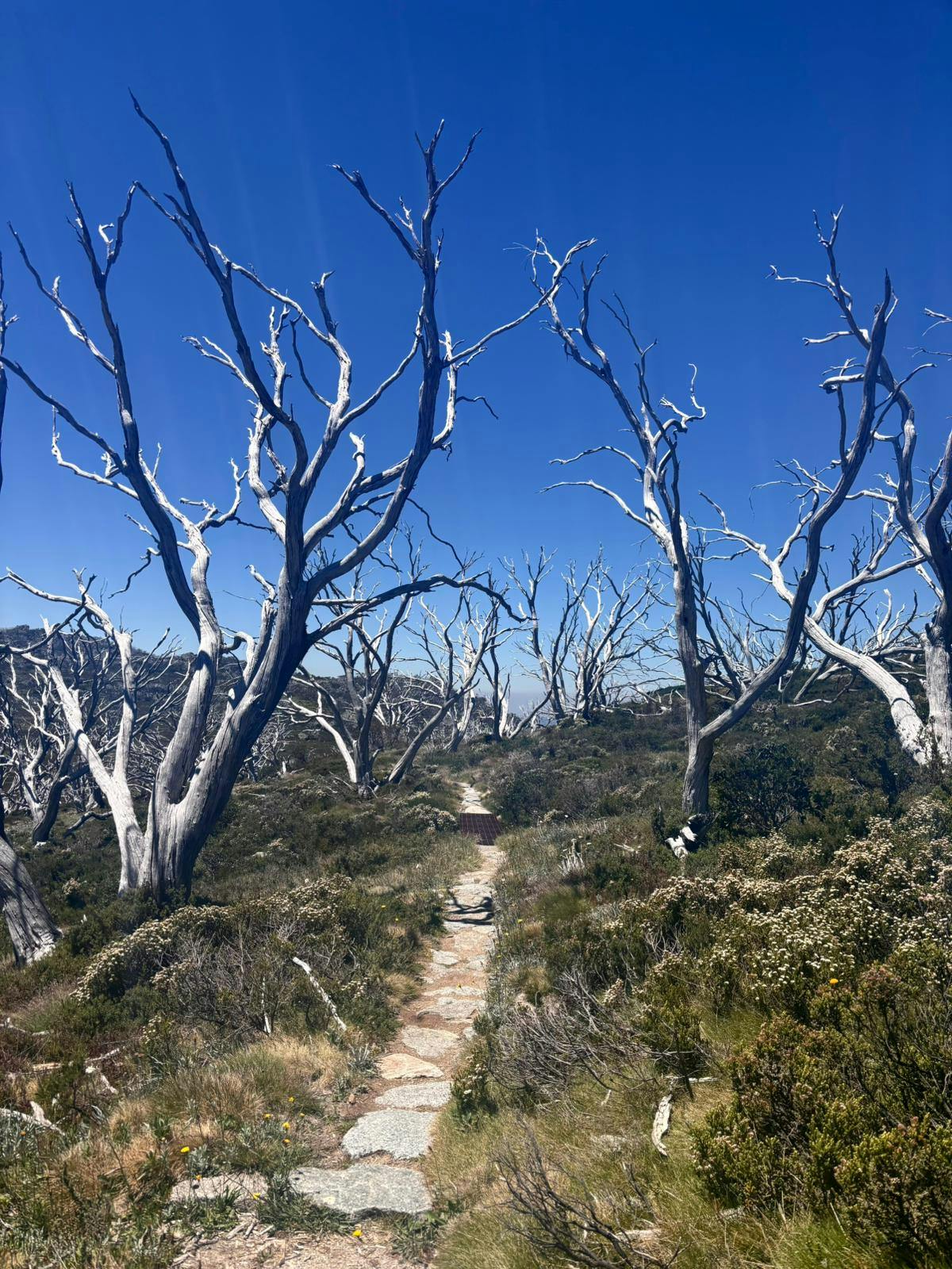 user avatar image for Phoebe