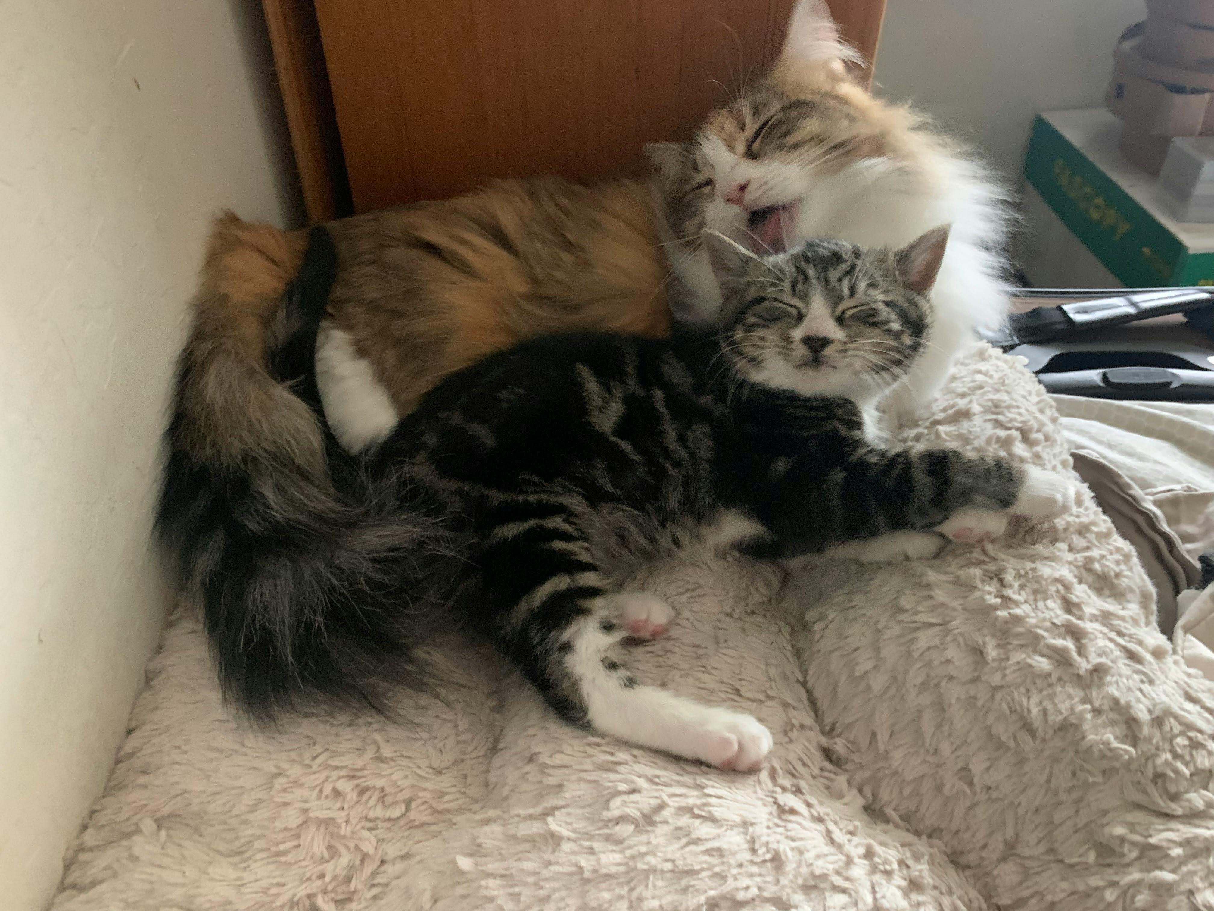 user avatar image for J. W.