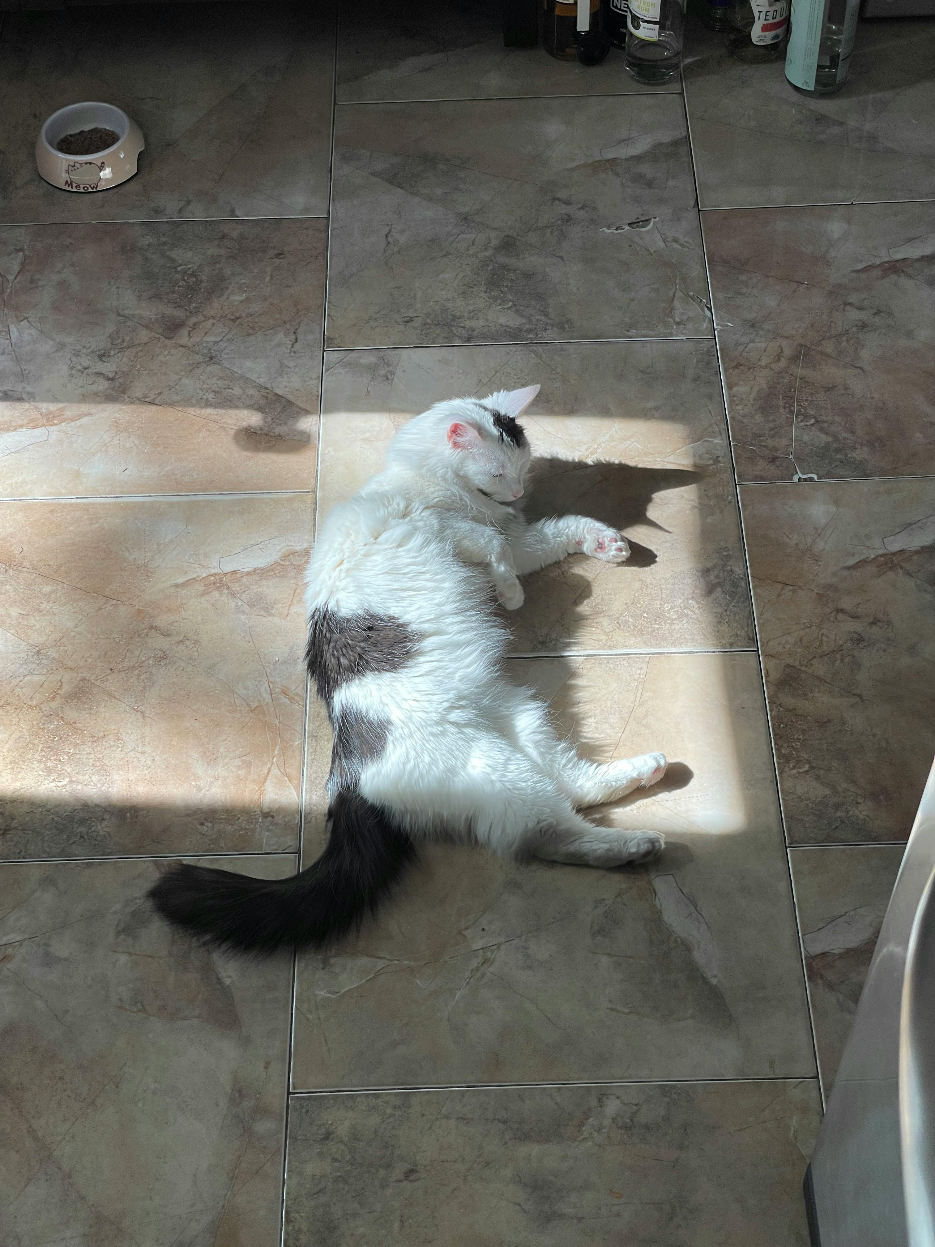 user avatar image for Alfred Egenhofer