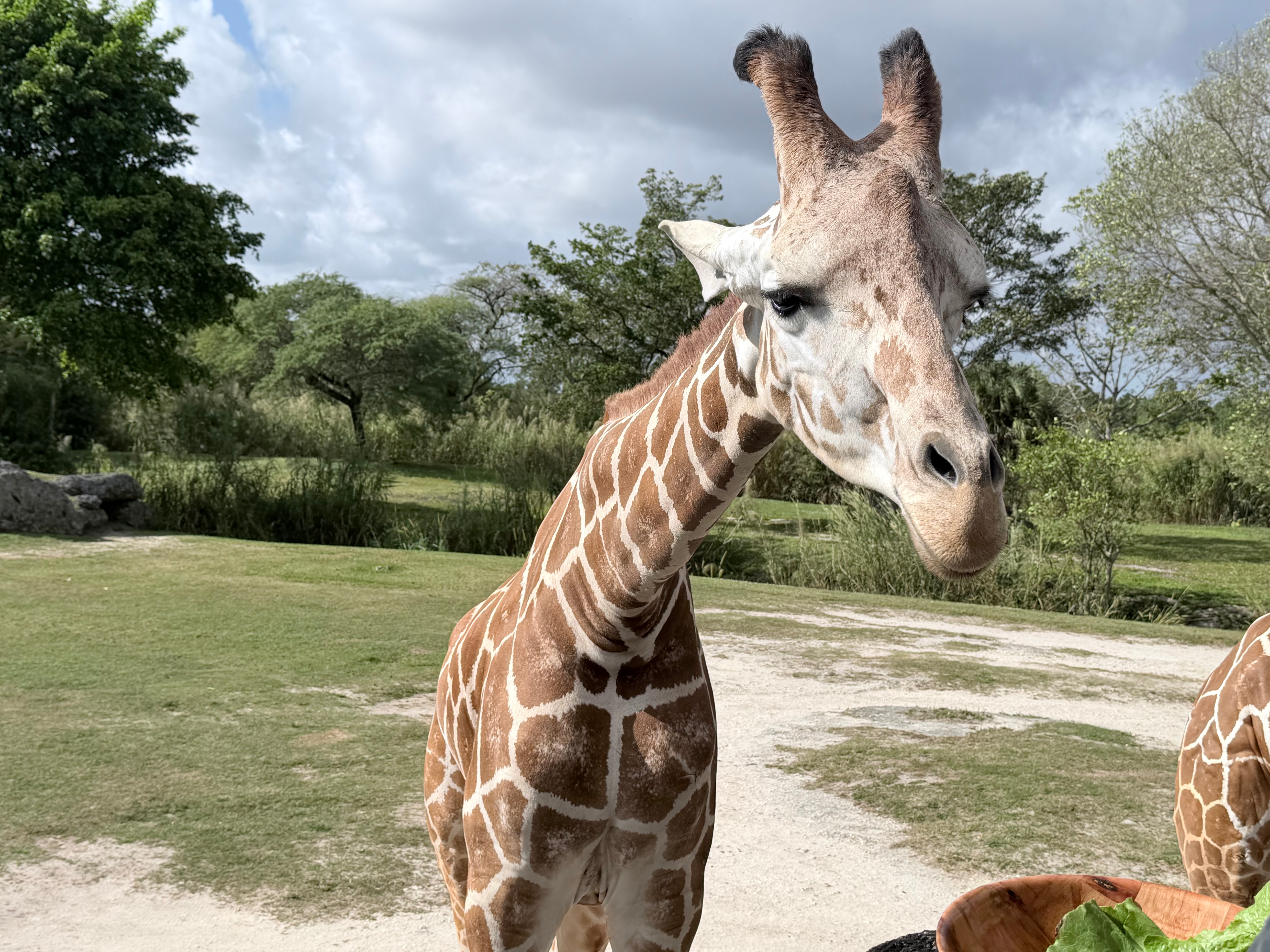 user avatar image for Owen Sherman