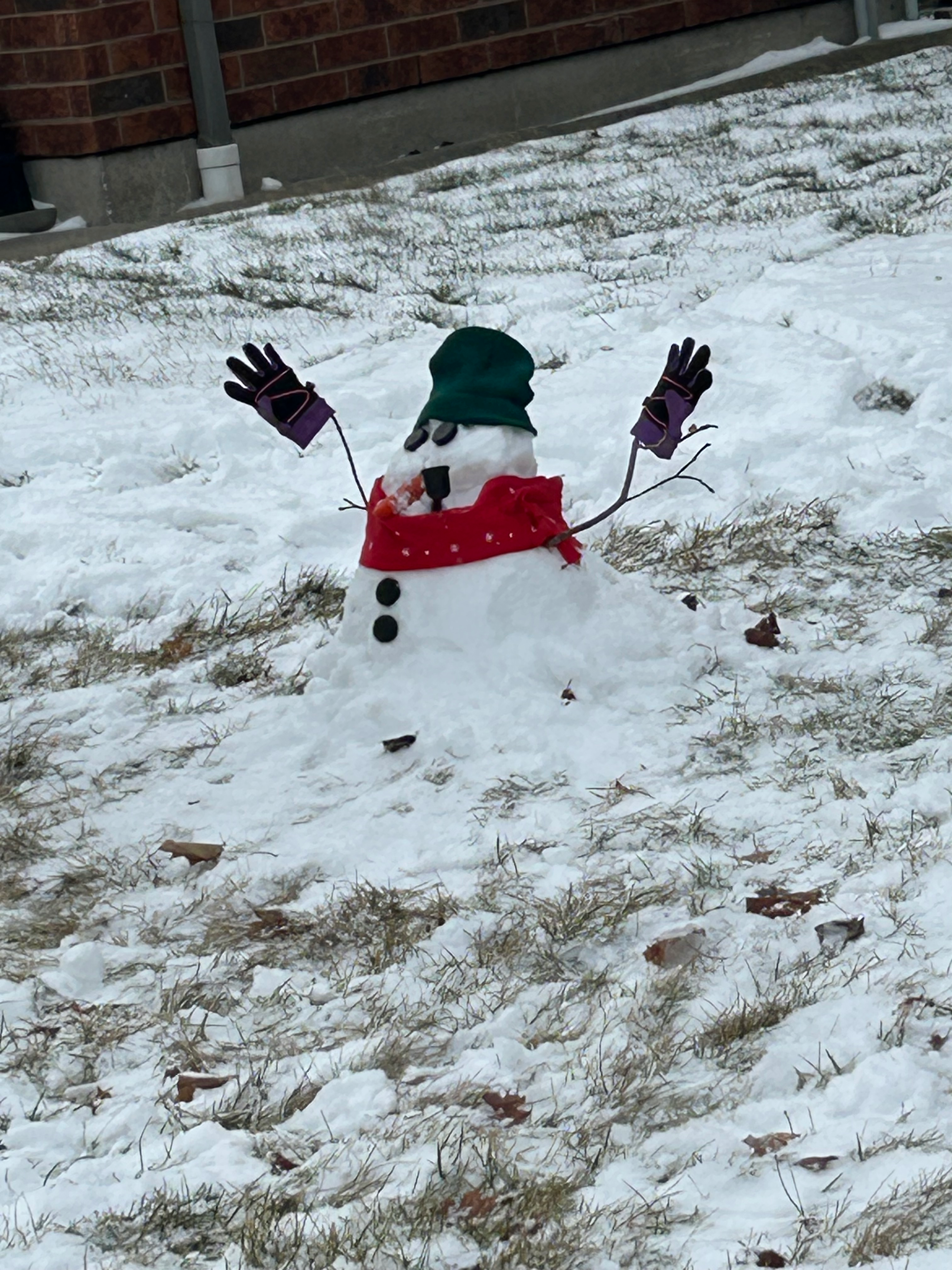 user avatar image for FloppyBubs