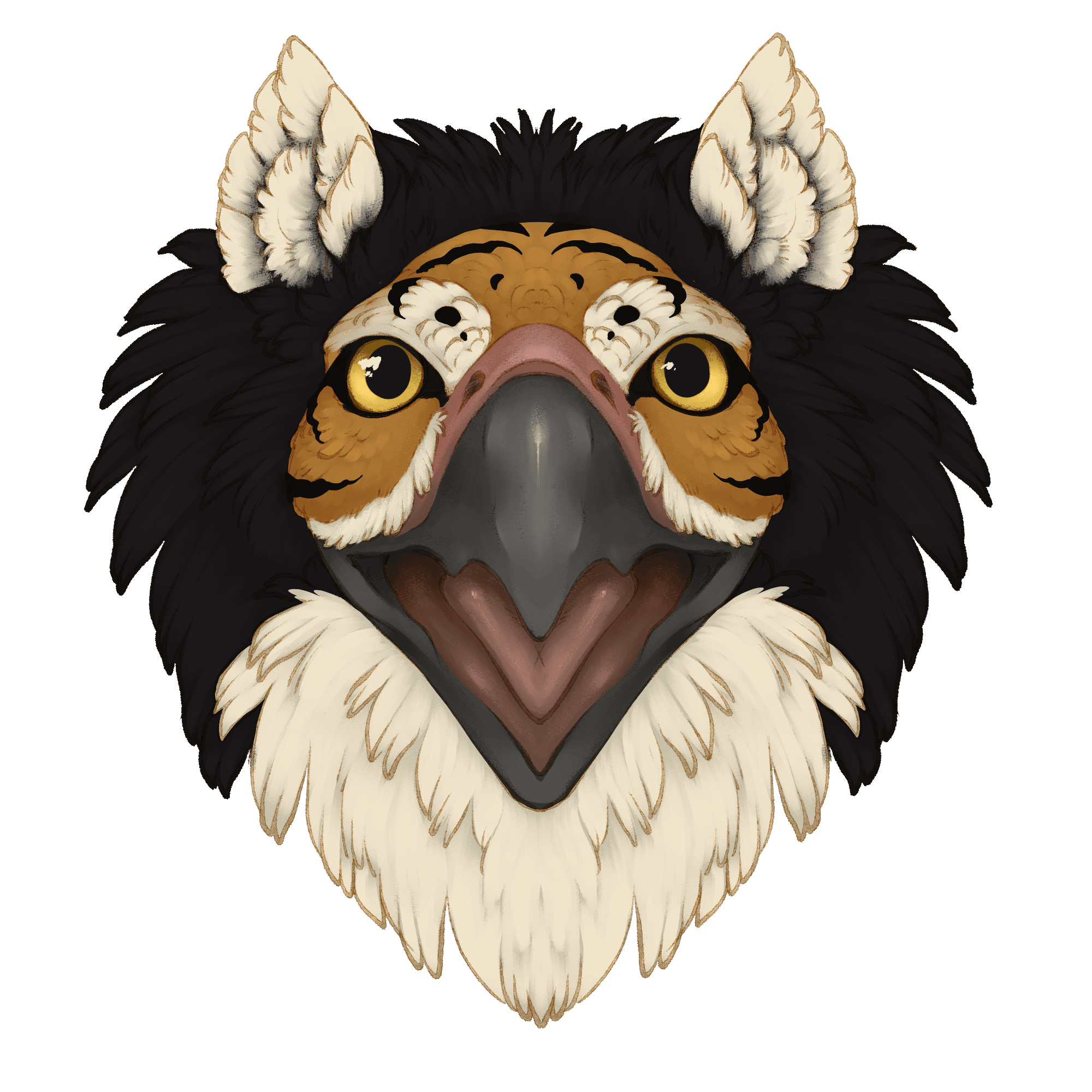 user avatar image for Skylover 