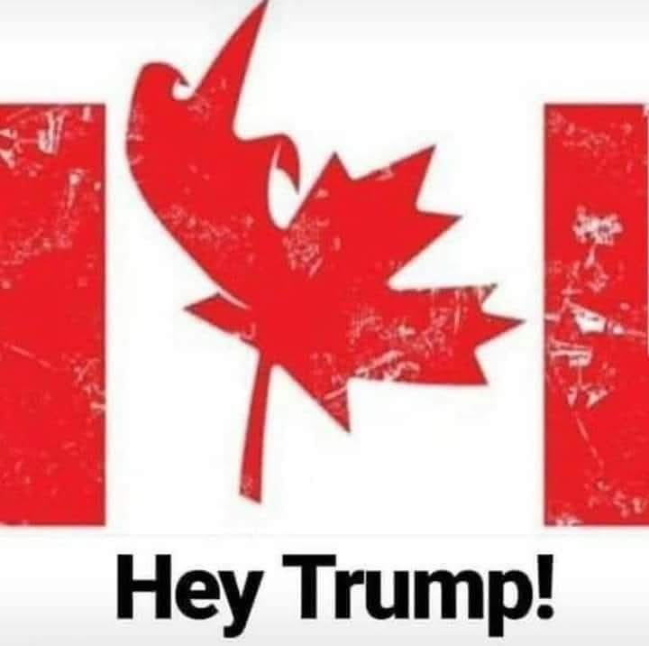 user avatar image for Kevin A Stoddart